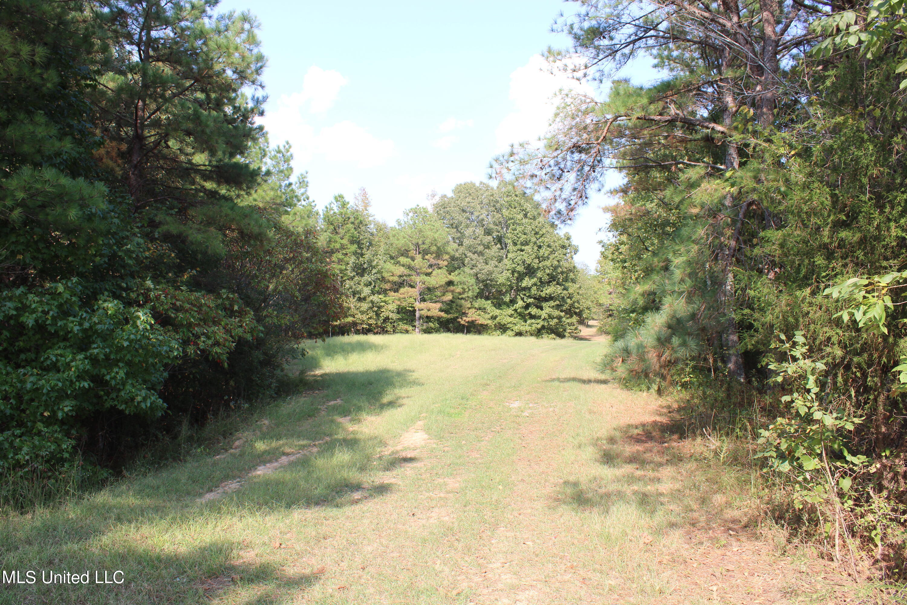 588 McGaughy Road Holly Springs, MS 38635 - Photo 62 of 101 IMG_2383