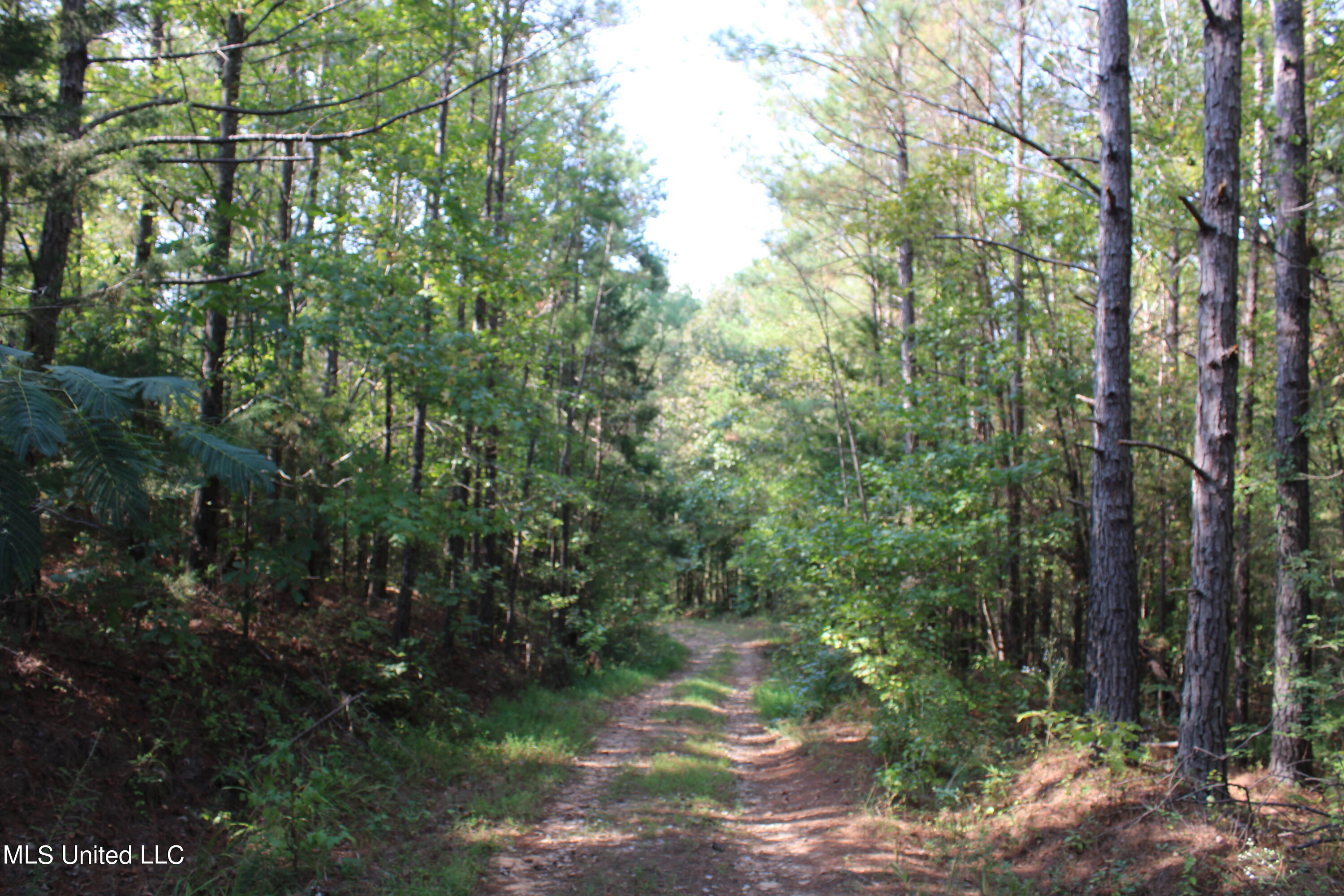 588 McGaughy Road Holly Springs, MS 38635 - Photo 63 of 101 IMG_2387