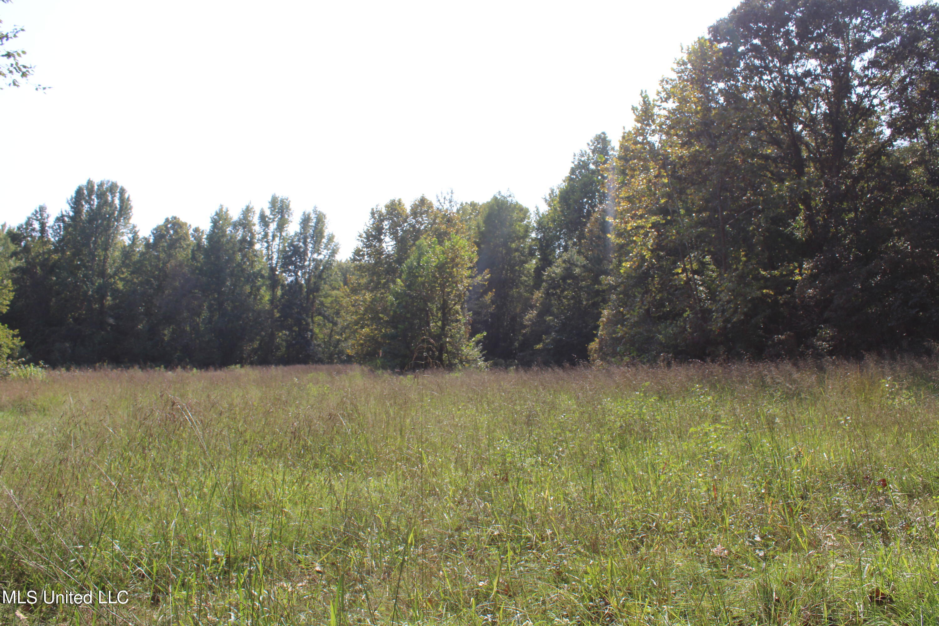 588 McGaughy Road Holly Springs, MS 38635 - Photo 65 of 101 IMG_2389