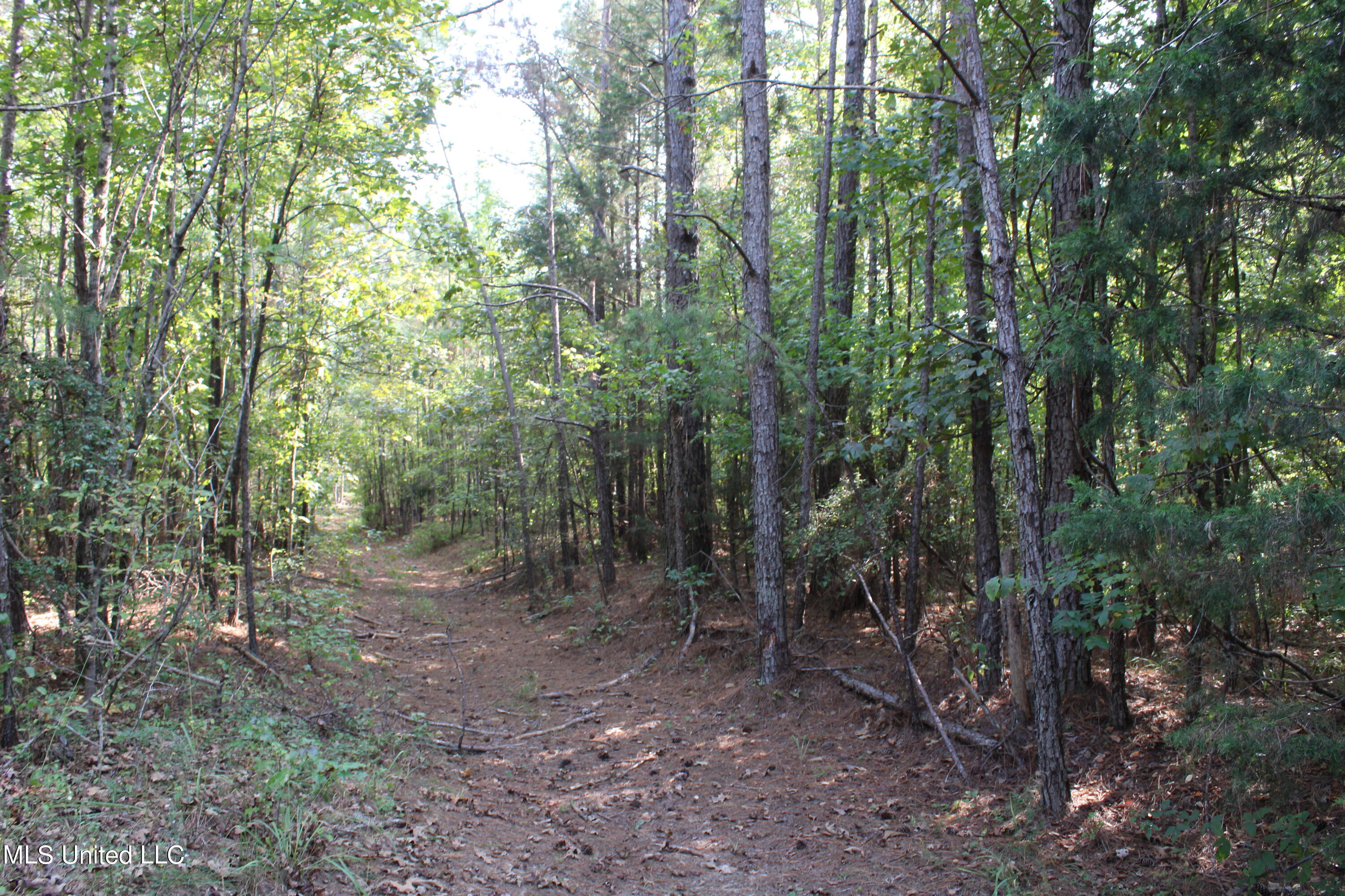 588 McGaughy Road Holly Springs, MS 38635 - Photo 66 of 101 IMG_2390