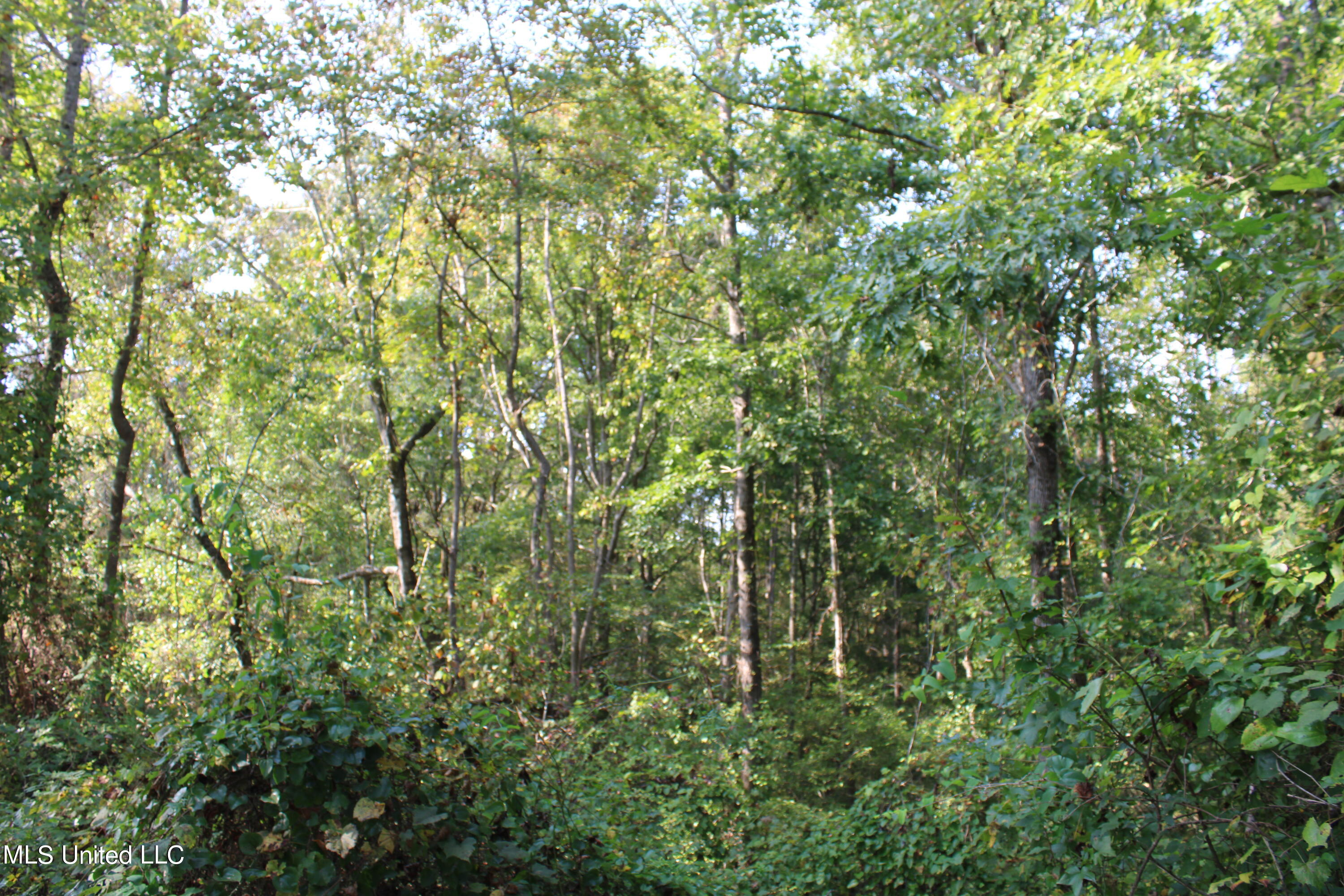 588 McGaughy Road Holly Springs, MS 38635 - Photo 80 of 101 IMG_2408