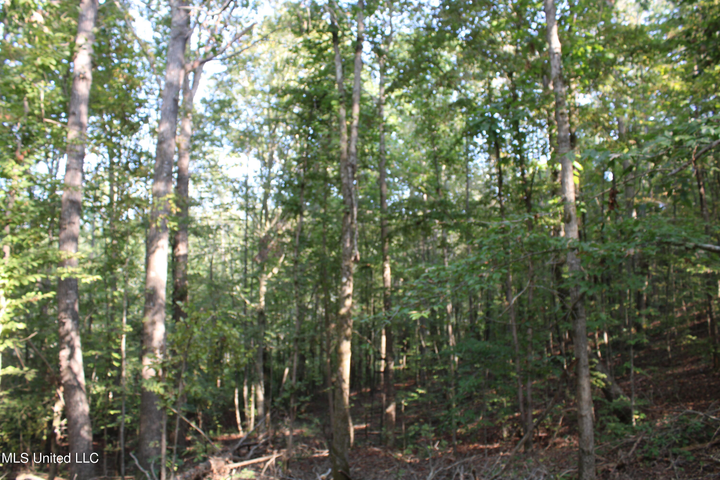 588 McGaughy Road Holly Springs, MS 38635 - Photo 82 of 101 IMG_2412