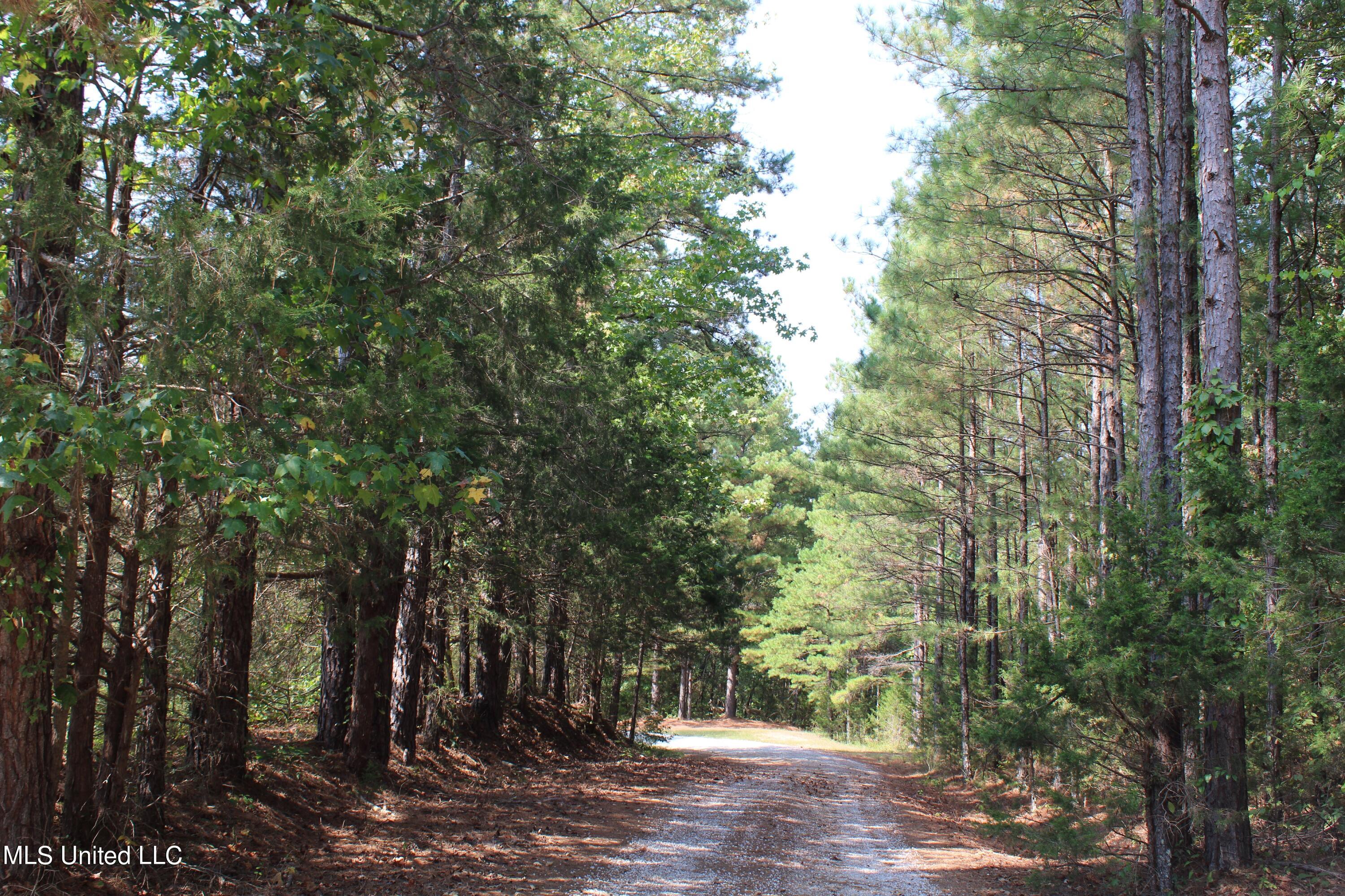 588 McGaughy Road Holly Springs, MS 38635 - Photo 83 of 101 IMG_2307