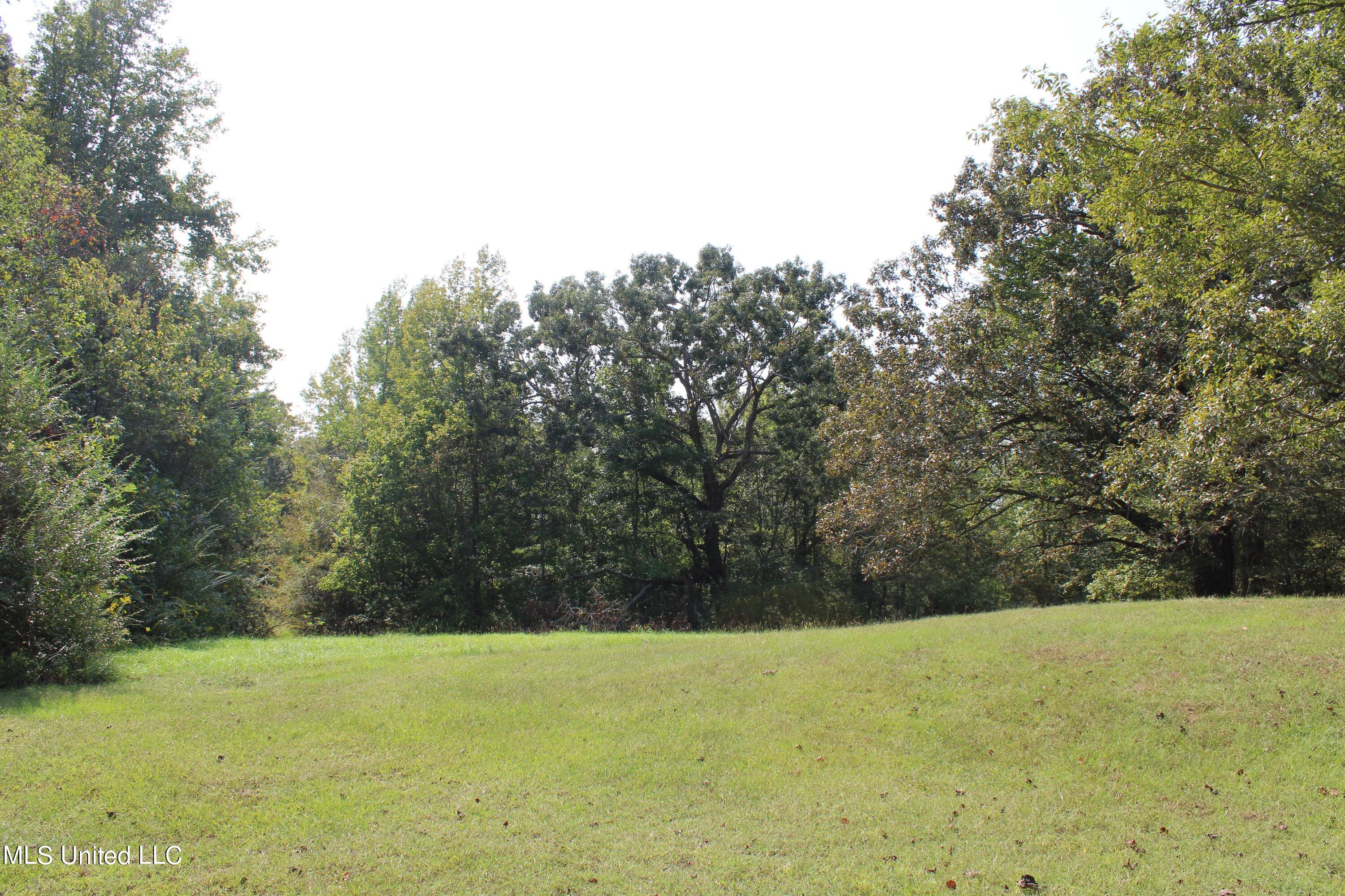 588 McGaughy Road Holly Springs, MS 38635 - Photo 85 of 101 IMG_2310