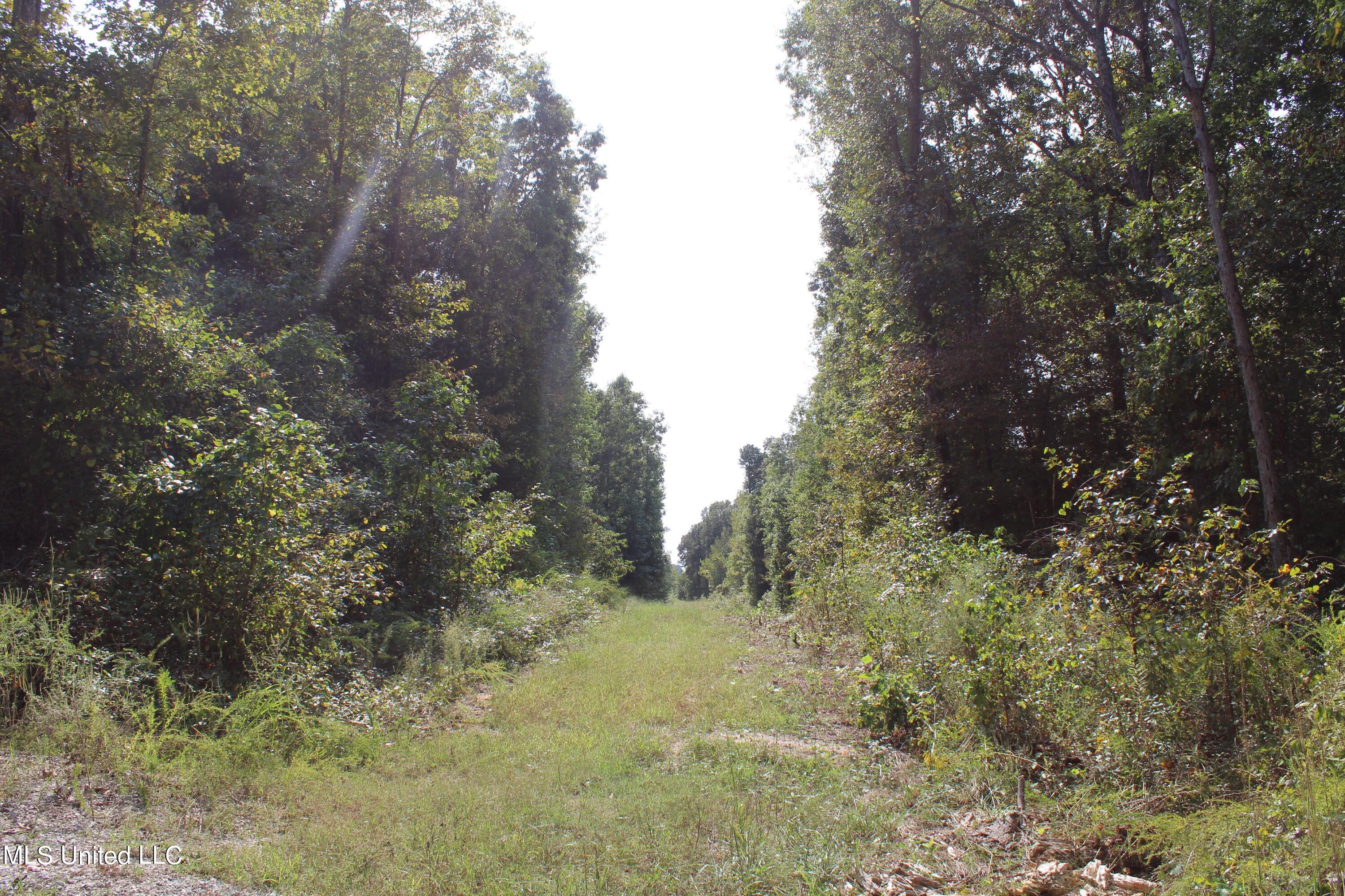 588 McGaughy Road Holly Springs, MS 38635 - Photo 86 of 101 IMG_2313