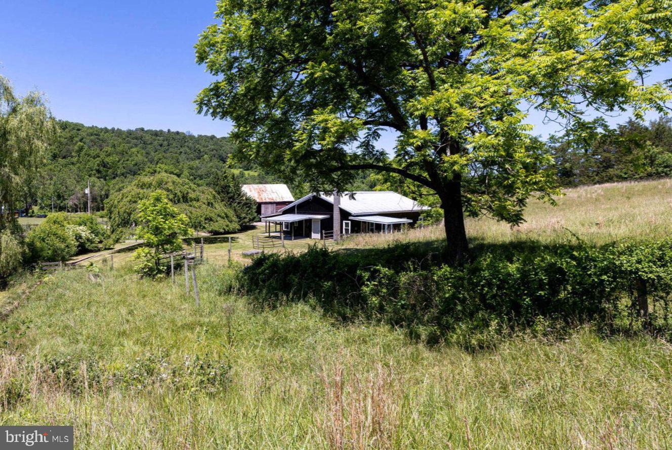 3257 Ida Road Luray, VA 22835 - Photo 2 of 36 Side yard