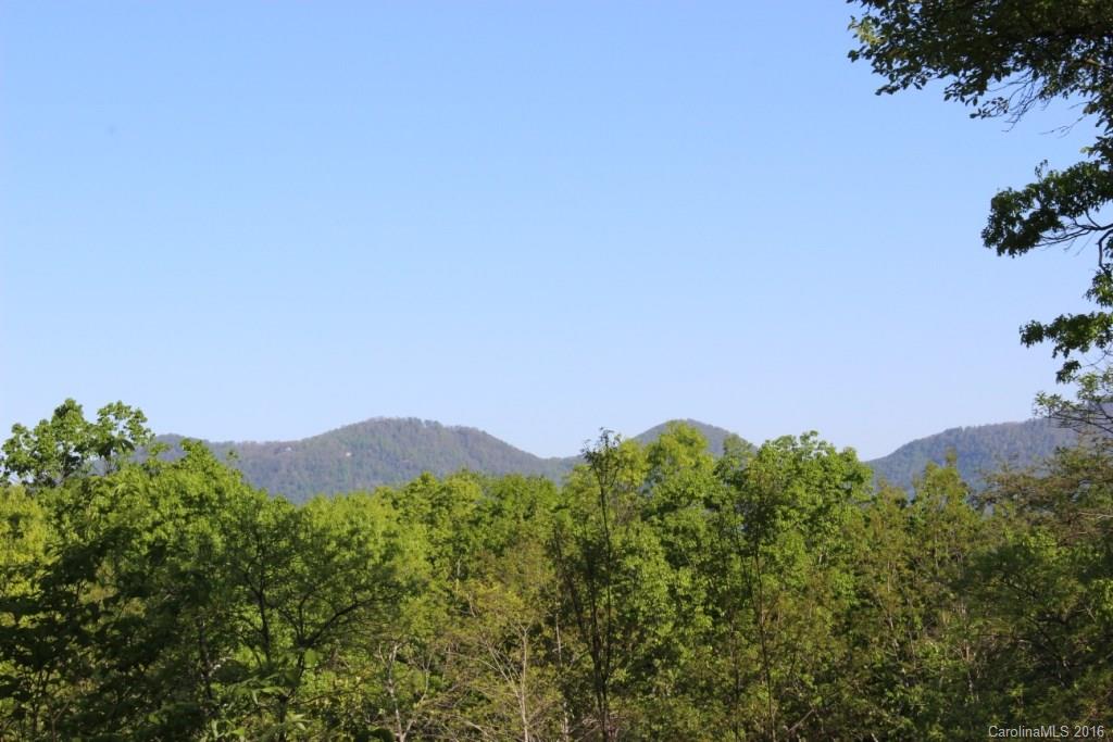125 Mockingbird Hill Road Landrum, SC 29356 - Photo 21 of 24