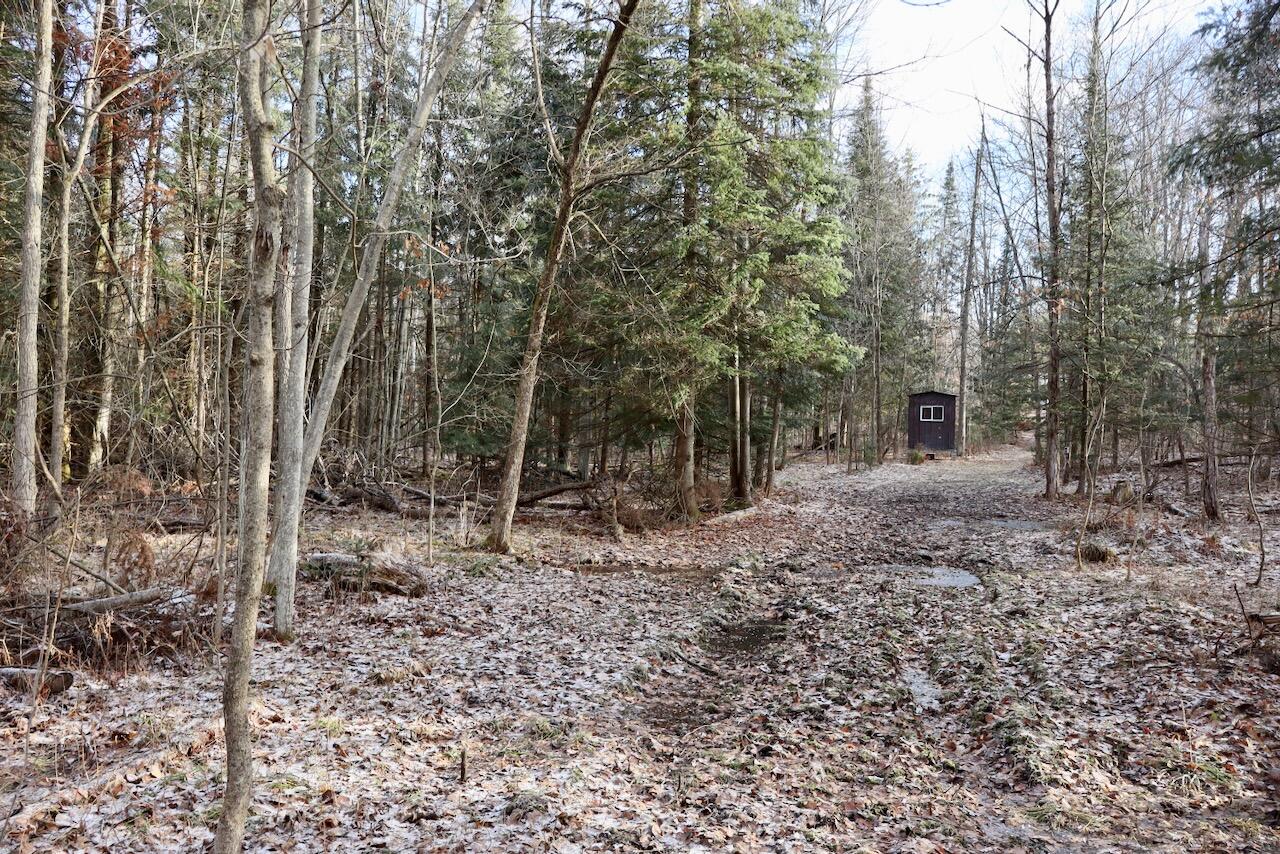 5717 Maple Ridge Road Sterling, MI 48659 - Photo 11 of 97 010