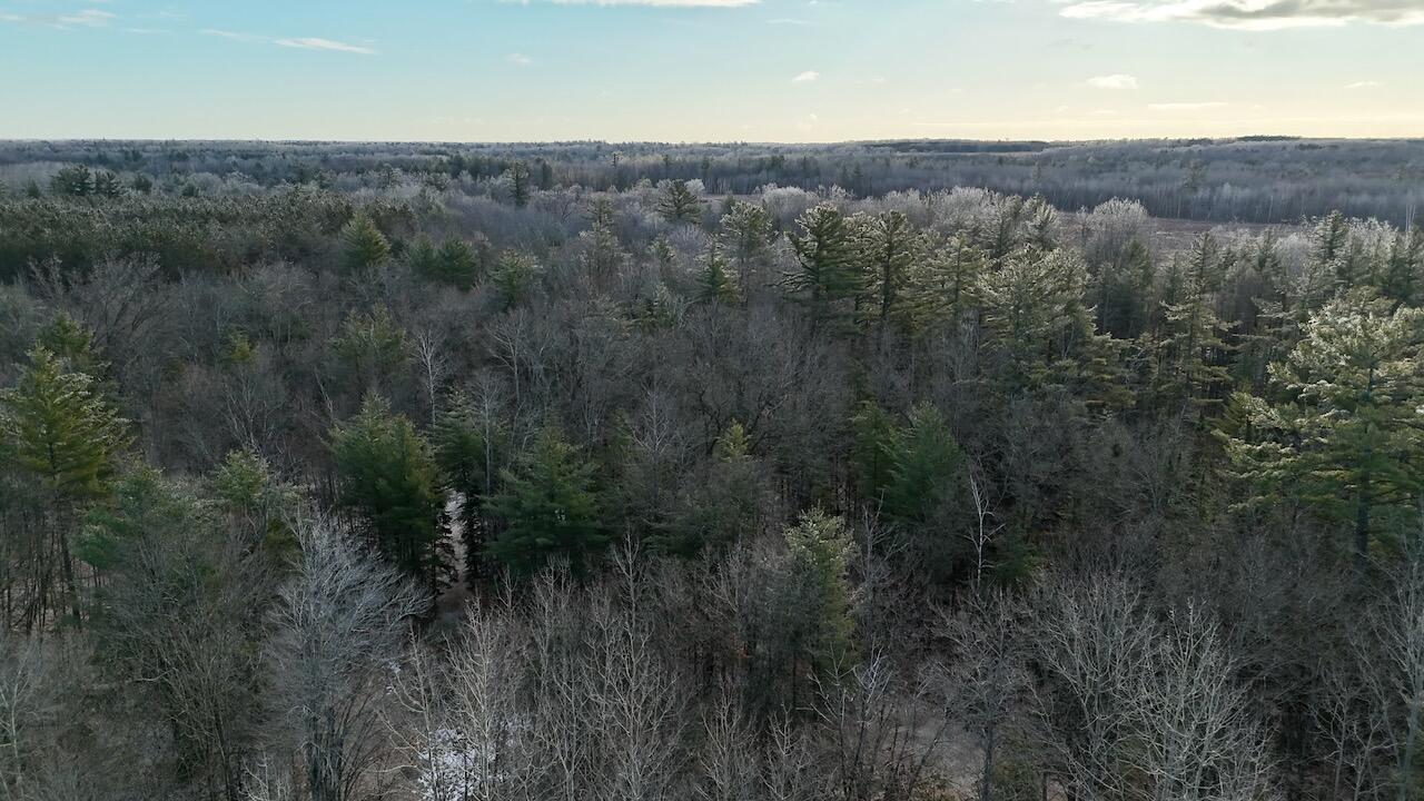 5717 Maple Ridge Road Sterling, MI 48659 - Photo 13 of 97 012