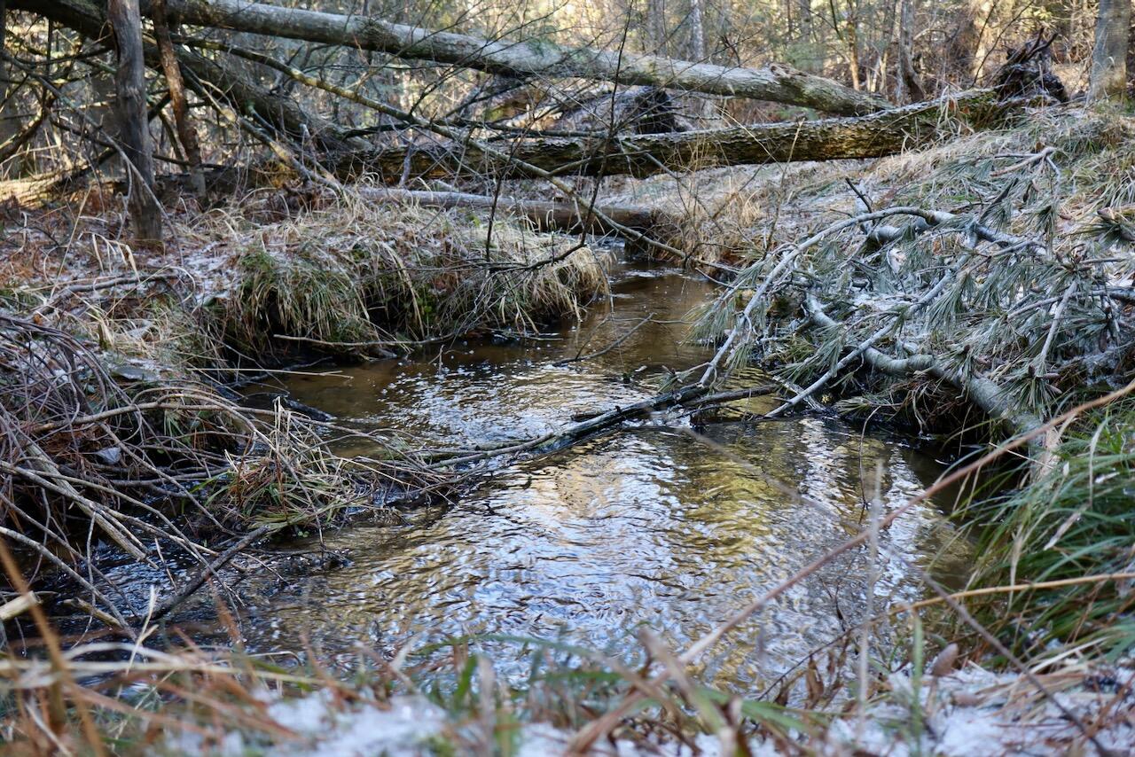 5717 Maple Ridge Road Sterling, MI 48659 - Photo 66 of 97 056