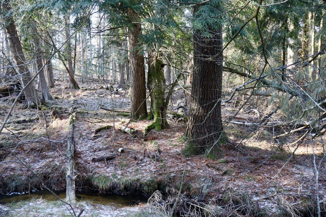 5717 Maple Ridge Road Sterling, MI 48659 - Photo 68 of 97 058