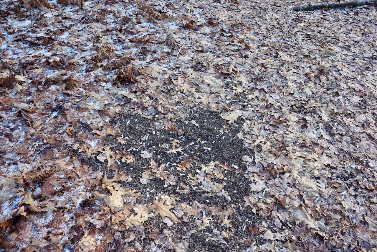 5717 Maple Ridge Road Sterling, MI 48659 - Photo 69 of 97 059