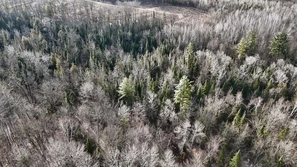 $749,000 | 5717 Maple Ridge Road, Sterling, MI 48659