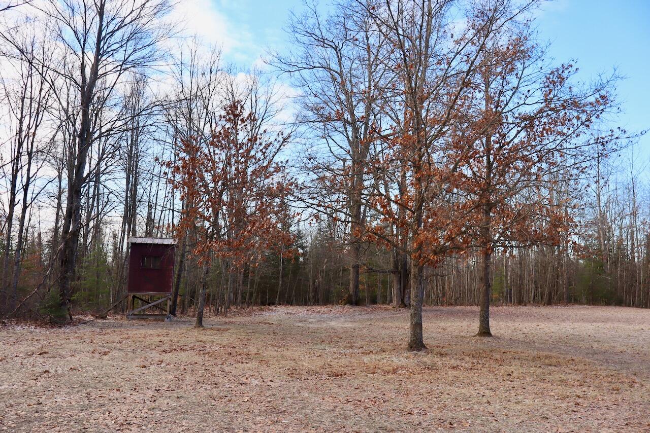 5717 Maple Ridge Road Sterling, MI 48659 - Photo 77 of 97 067