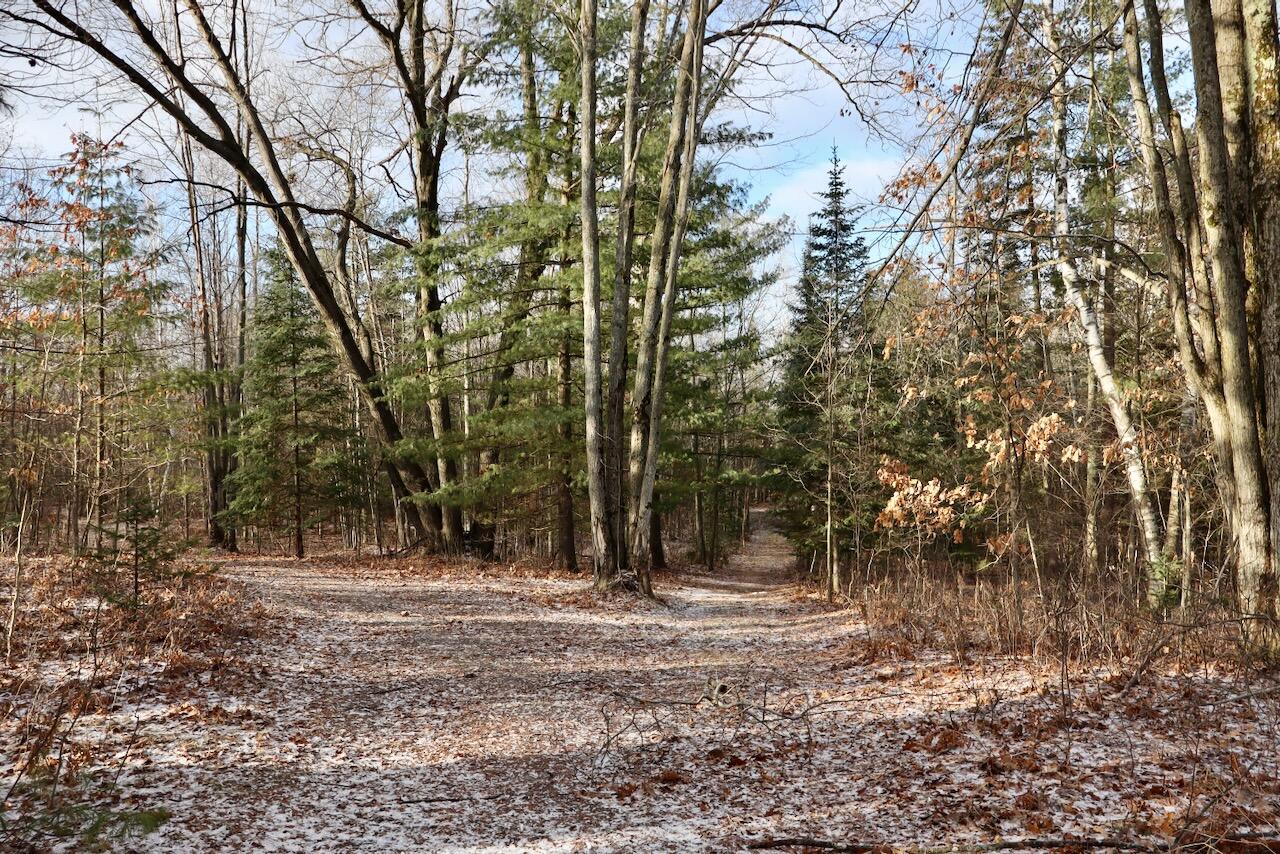 5717 Maple Ridge Road Sterling, MI 48659 - Photo 85 of 97 074