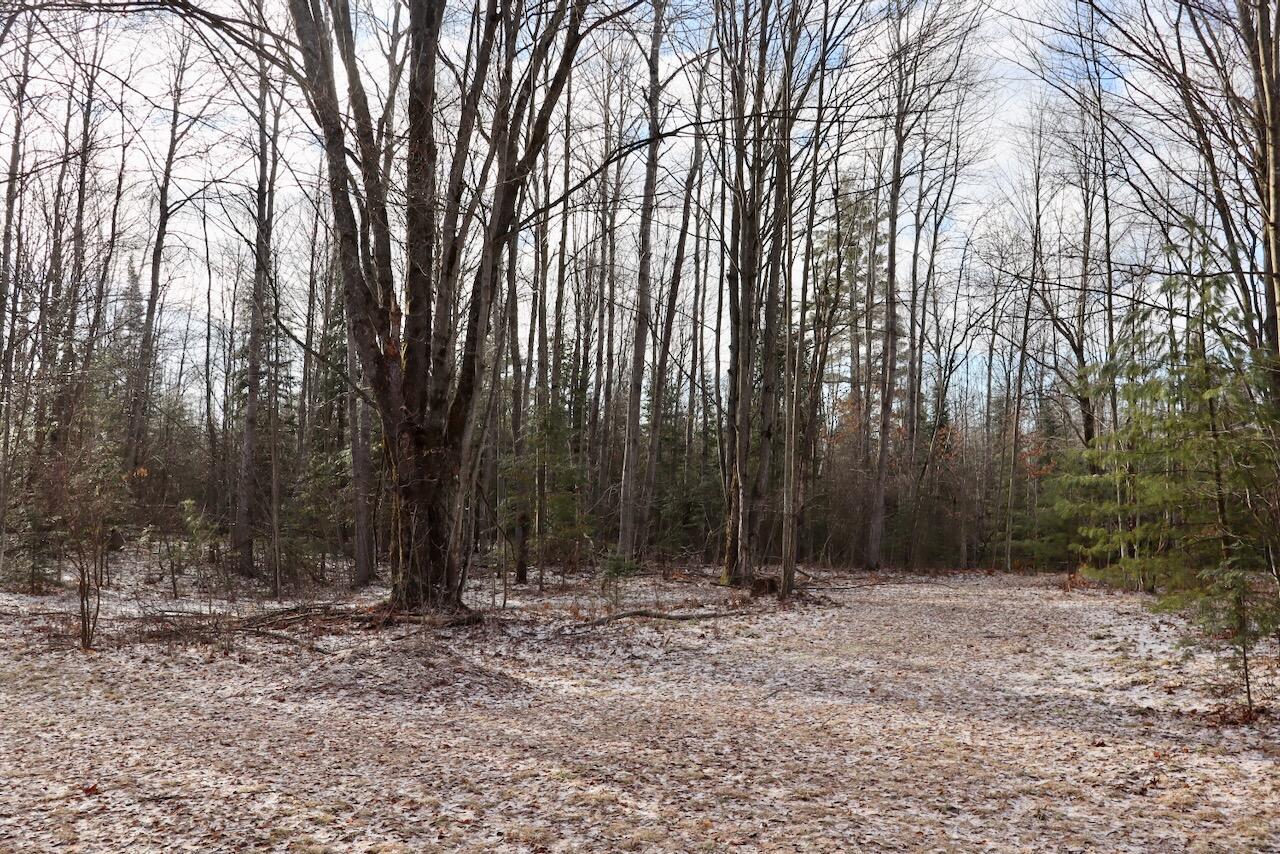 5717 Maple Ridge Road Sterling, MI 48659 - Photo 86 of 97 075