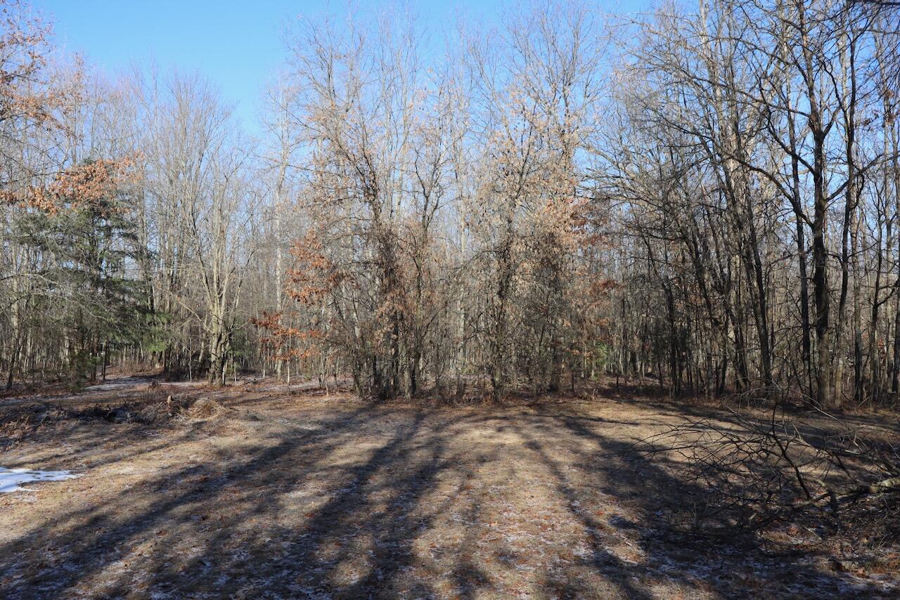 5717 Maple Ridge Road Sterling, MI 48659 - Photo 89 of 97 078