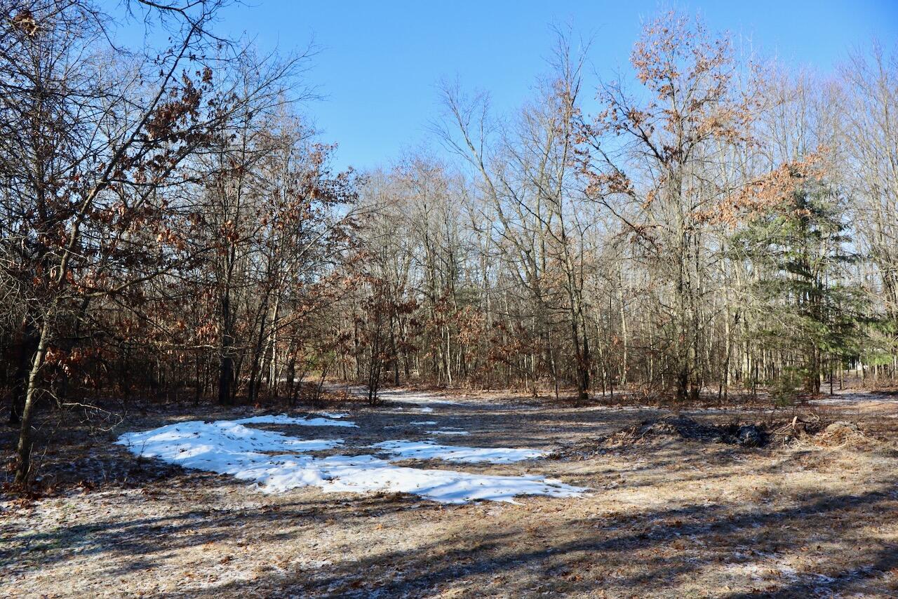 5717 Maple Ridge Road Sterling, MI 48659 - Photo 90 of 97 079