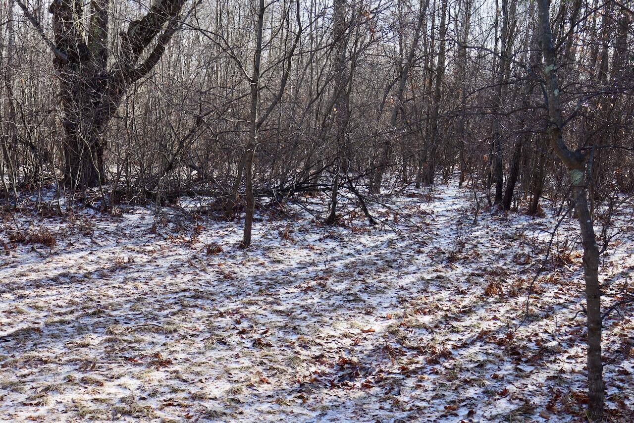 5717 Maple Ridge Road Sterling, MI 48659 - Photo 93 of 97 082