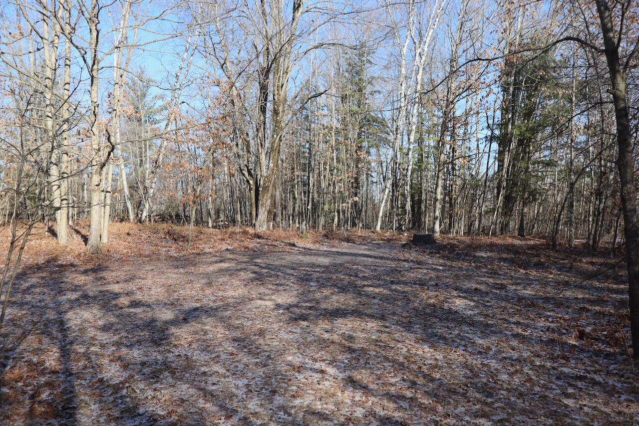 5717 Maple Ridge Road Sterling, MI 48659 - Photo 94 of 97 083