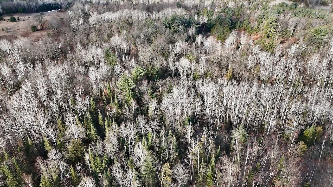 5717 Maple Ridge Road Sterling, MI 48659 - Photo 96 of 97 085