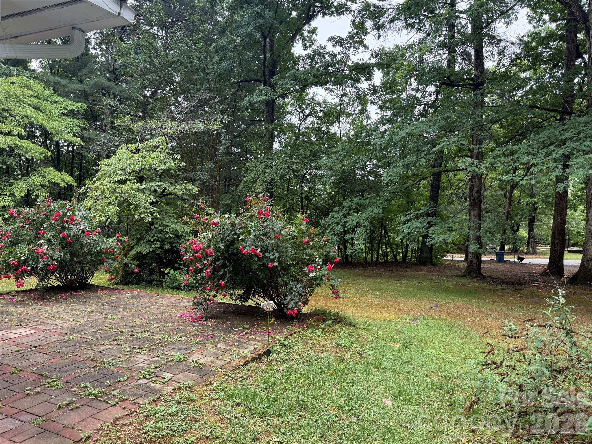 580 Legion Road Lenoir, NC 28645 - Photo 21 of 22 a view of a garden with flowers and trees
