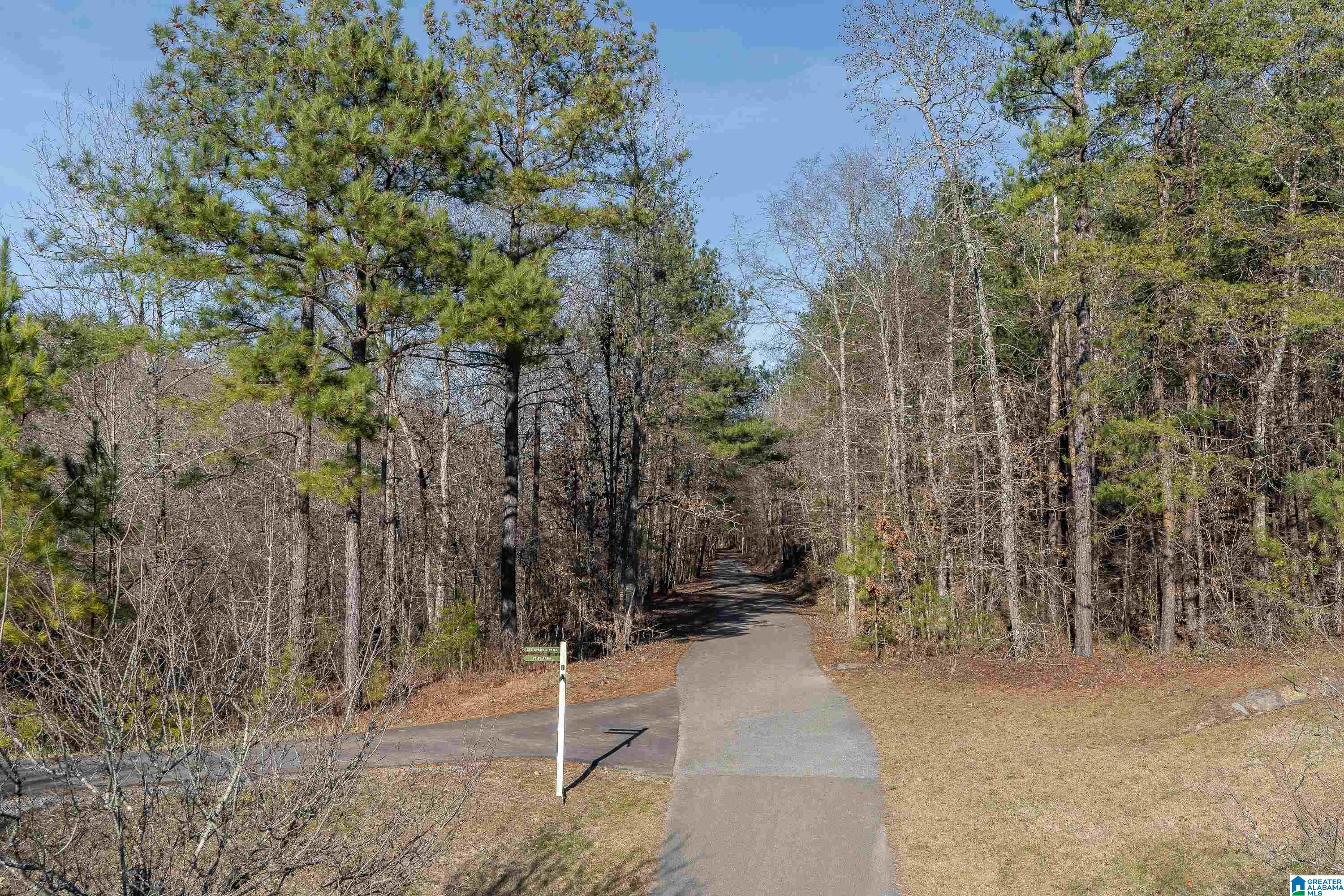 155 Appleford Road Helena, AL 35080 - Photo 52 of 56
