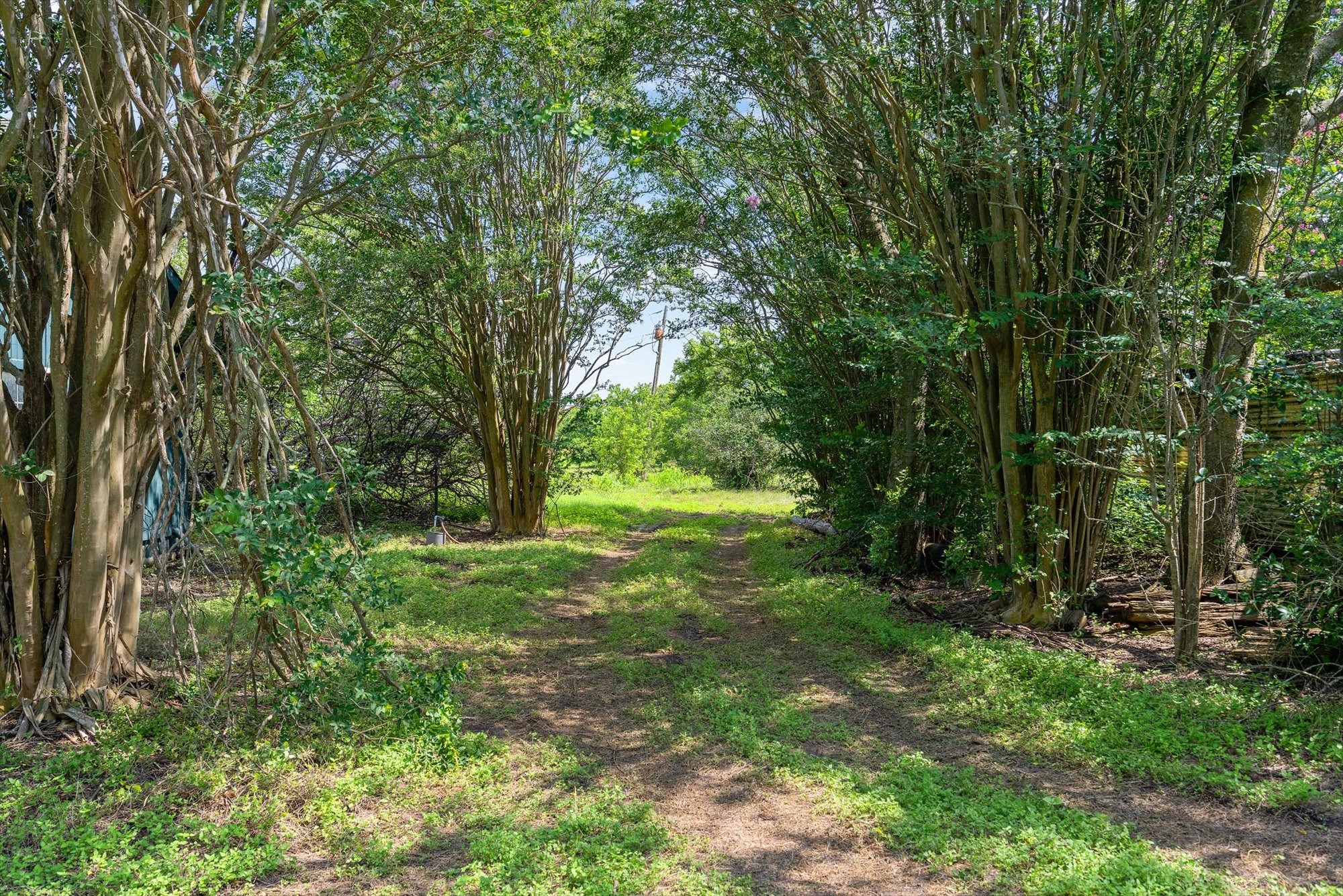 14201 Lund - Carlson Road Coupland, TX 78615 - Photo 20 of 40 A secluded pathway winds through lush, verdant foliage, hinting at tranquil natural beauty.
