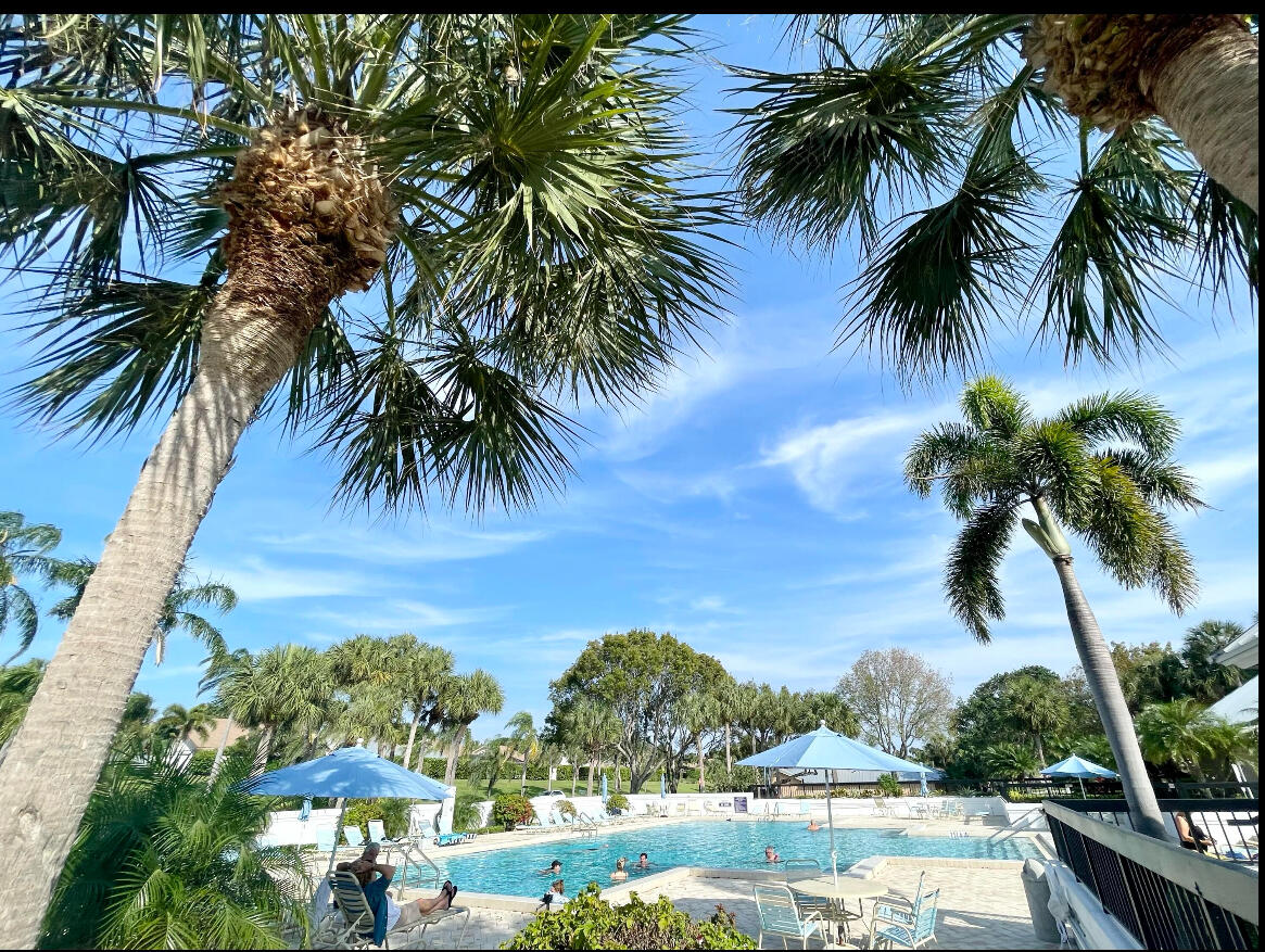 125 Cape Pointe Circle Jupiter, FL 33477 - Photo 33 of 45 a view of a lake with a palm tree