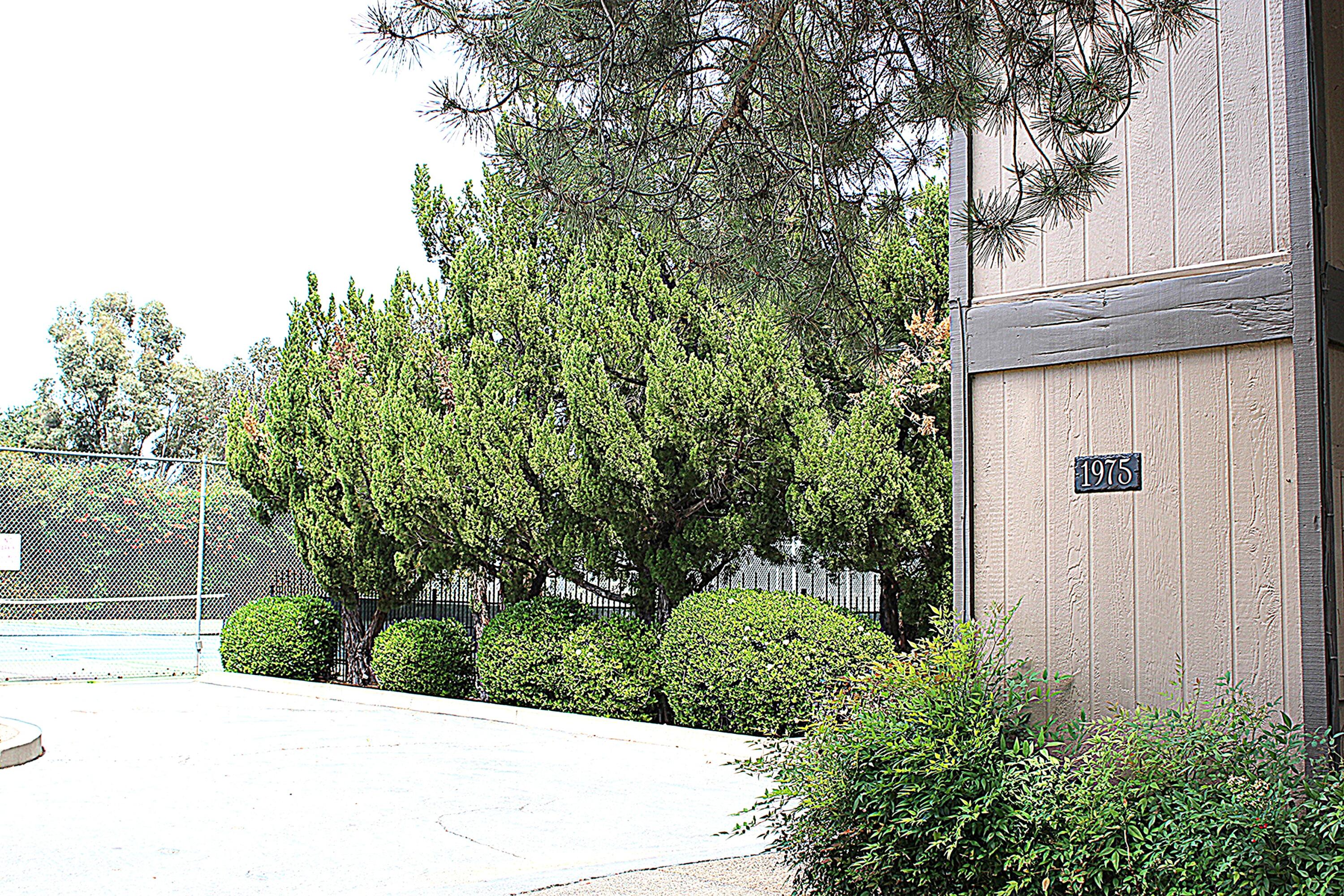 1975 Bechelli Lane Redding, CA 96002 - Photo 2 of 25 Front with pool