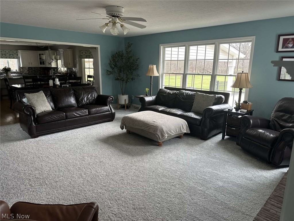 50344 Garfield Road Oberlin, OH 44074 - Photo 22 of 50