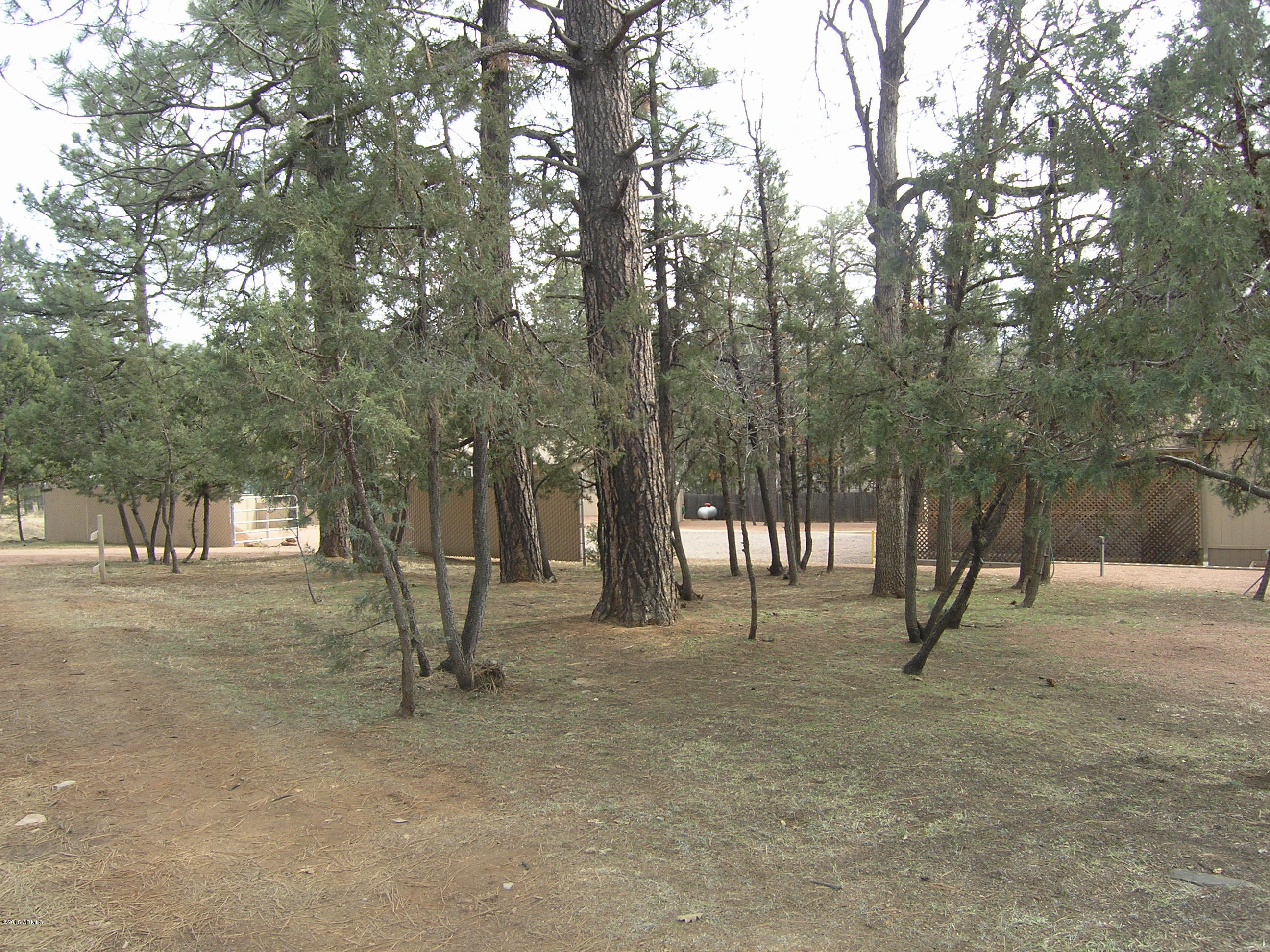 8409 Fossil Creek Road Strawberry, AZ 85544 - Photo 30 of 31 P1010451