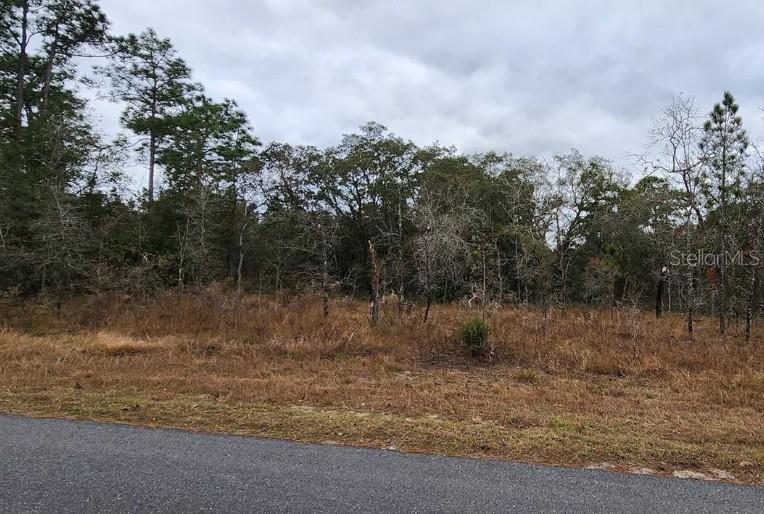 Maleo Road Weeki Wachee, FL 34614 - Photo 1 of 1