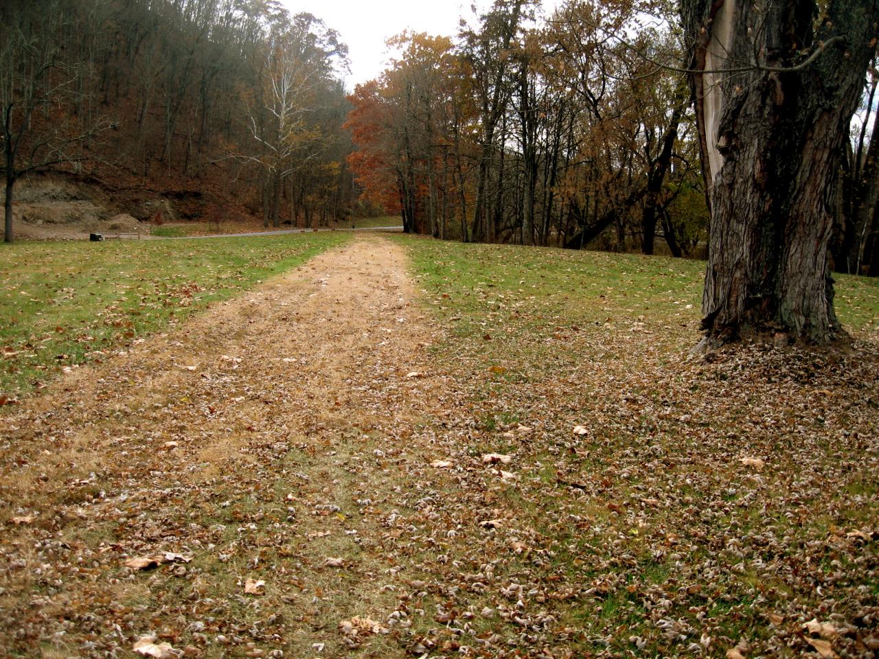 39-48 Bear Run Road Caldwell, WV 24925 - Photo 3 of 4 Road to lot