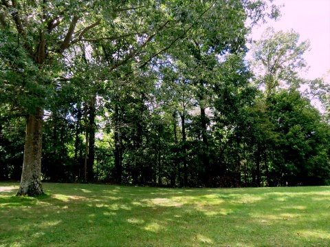1146 Lickert Road Alexandria, KY 41001 - Photo 3 of 30 Gallery Image 3