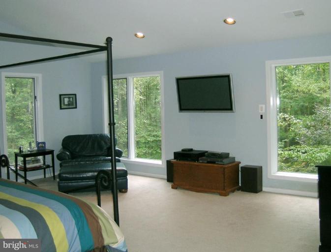732 Springvale Road Great Falls, VA 22066 - Photo 12 of 30 Master Bedroom