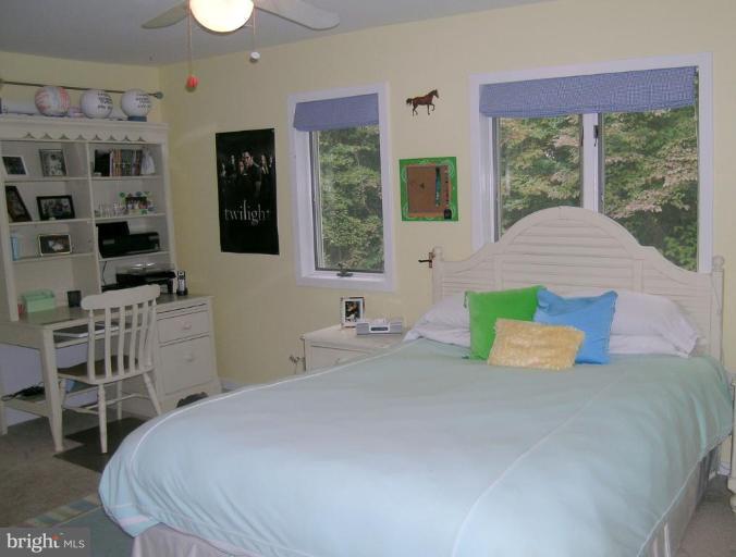 732 Springvale Road Great Falls, VA 22066 - Photo 15 of 30 Bedroom #2