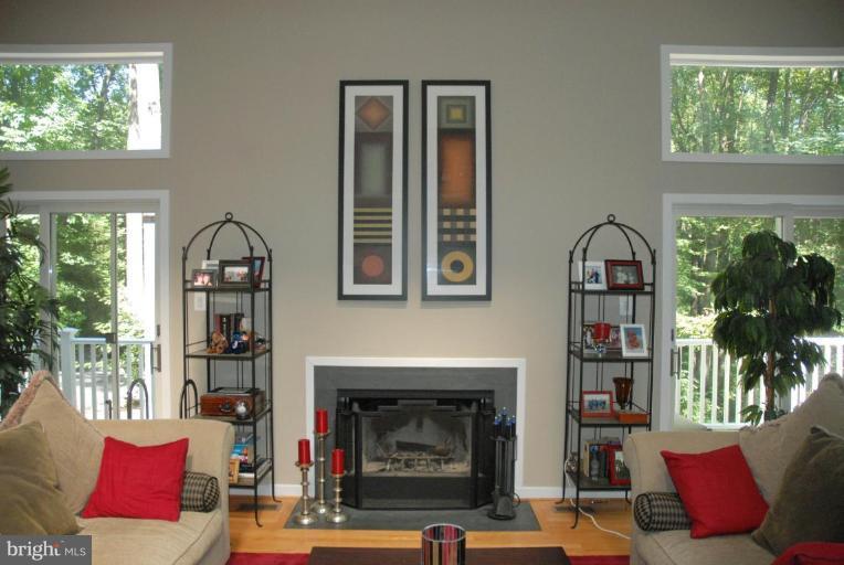 732 Springvale Road Great Falls, VA 22066 - Photo 7 of 30 Great Room