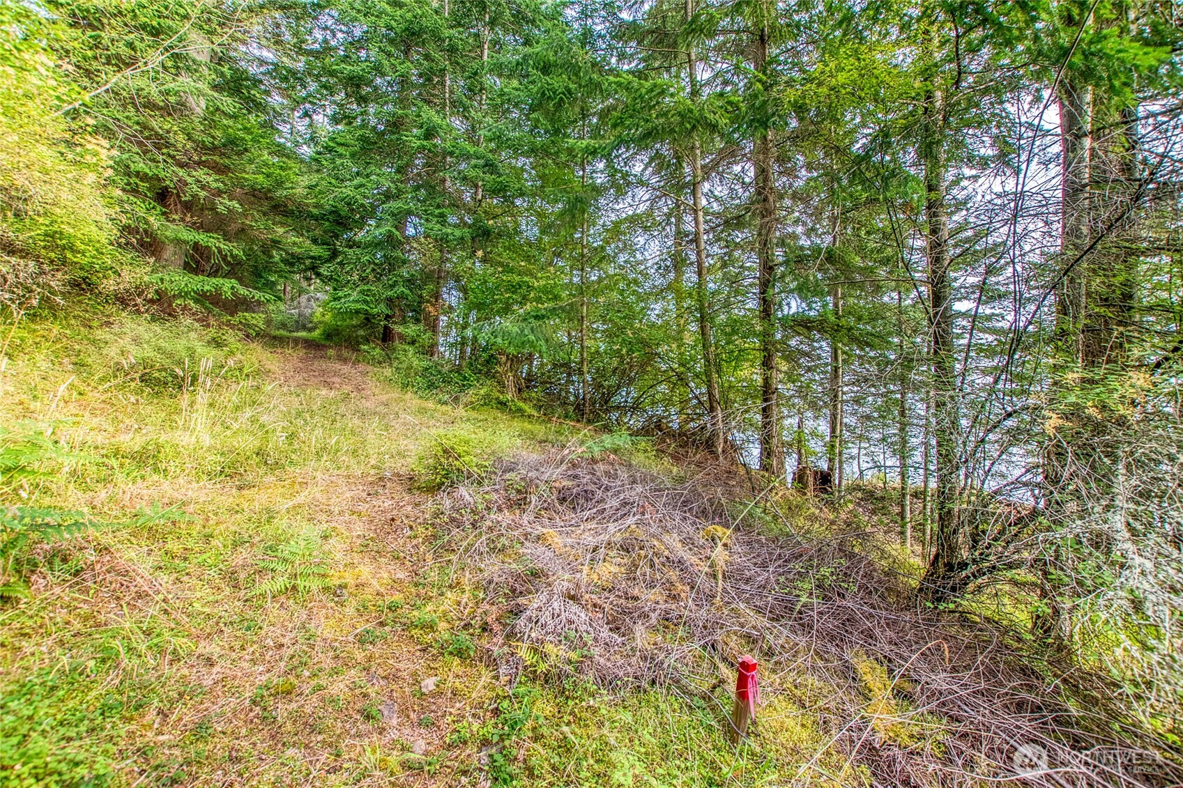 2760 Raccoon Point Road Orcas Island, WA 98245 - Photo 11 of 37 Gallery Image 11