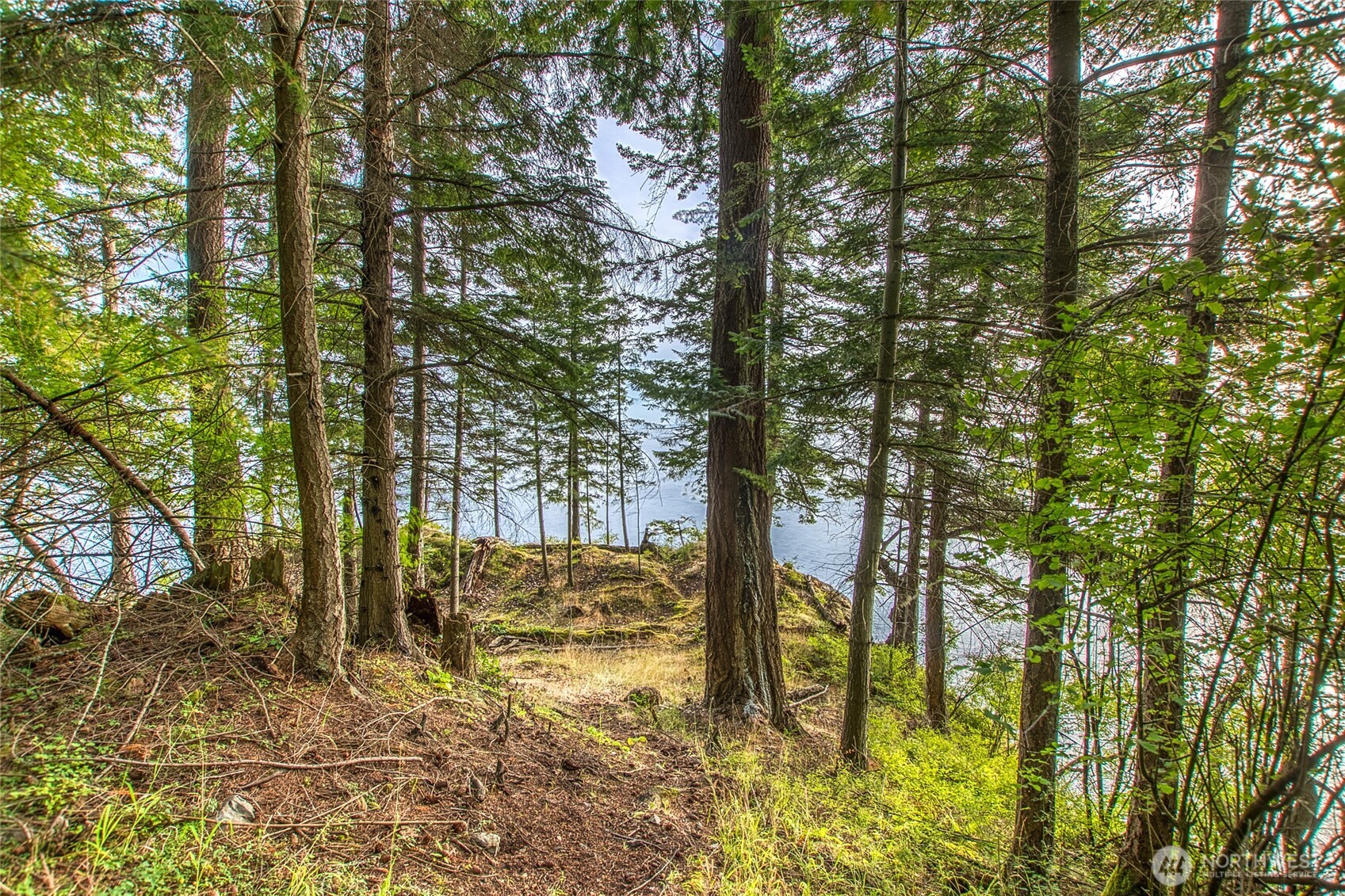 2760 Raccoon Point Road Orcas Island, WA 98245 - Photo 12 of 37 Gallery Image 12