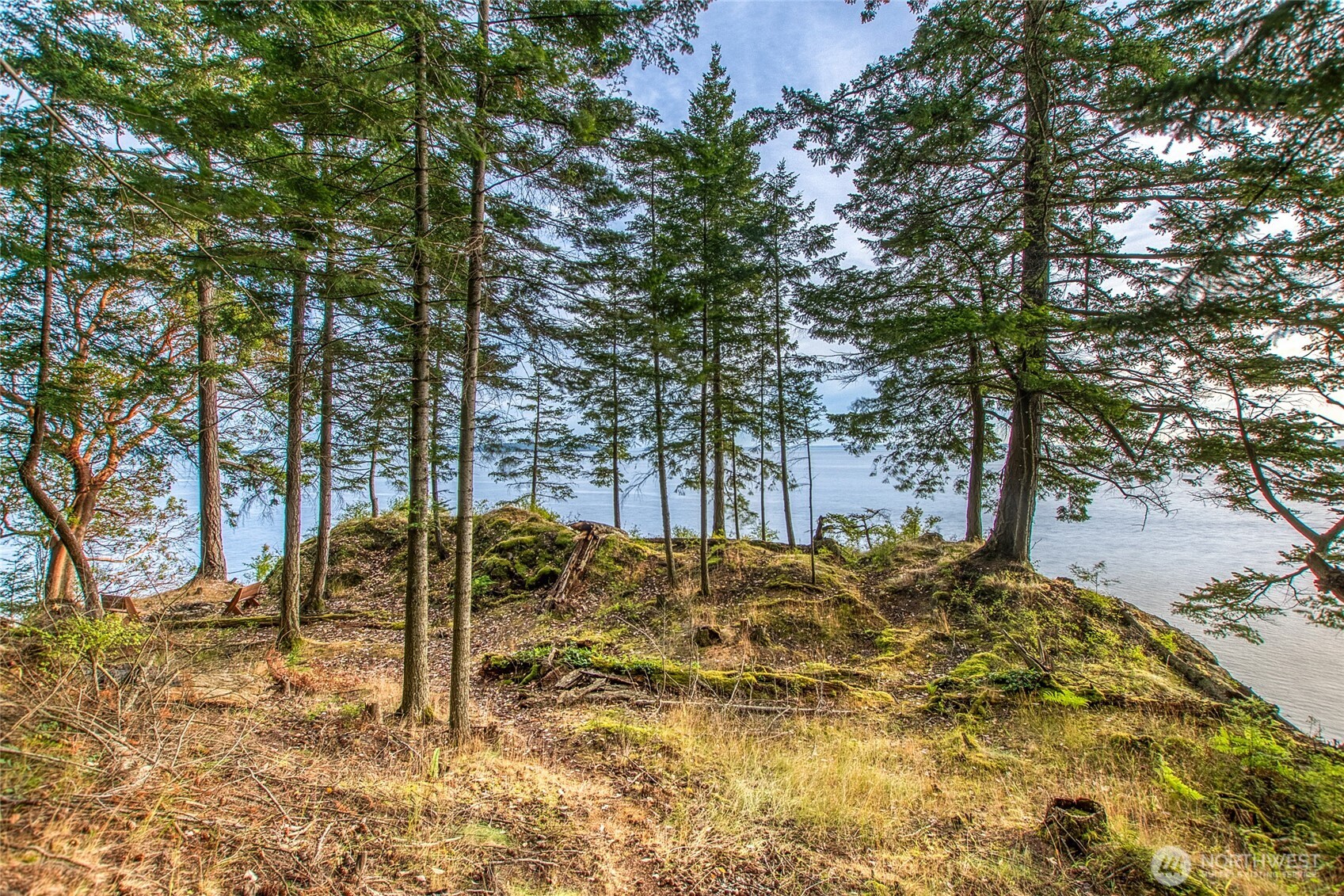2760 Raccoon Point Road Orcas Island, WA 98245 - Photo 13 of 37 Gallery Image 13