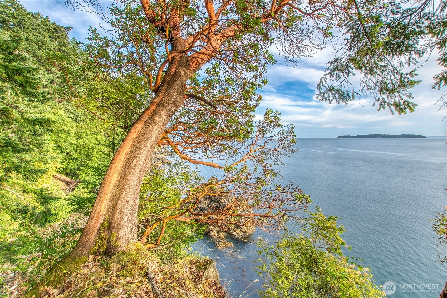 2760 Raccoon Point Road Orcas Island, WA 98245 - Photo 14 of 37 Gallery Image 14