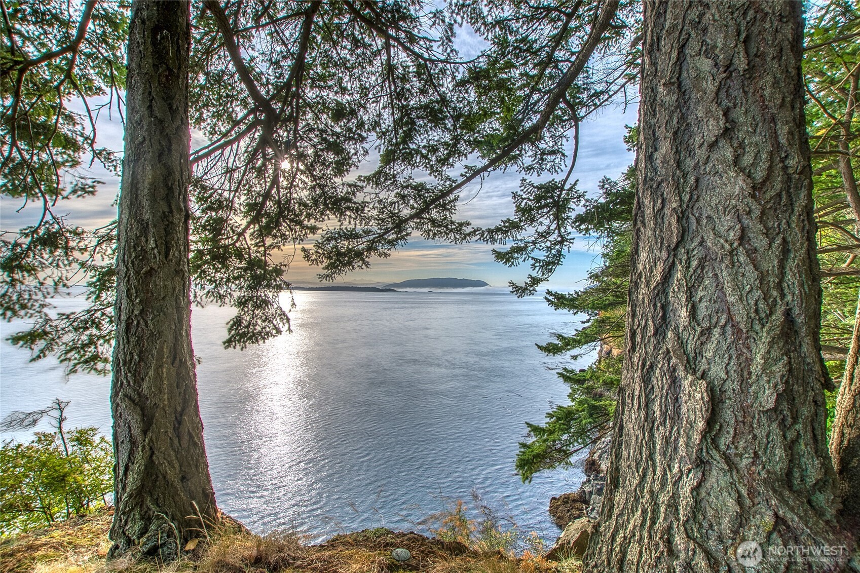 2760 Raccoon Point Road Orcas Island, WA 98245 - Photo 15 of 37 Gallery Image 15
