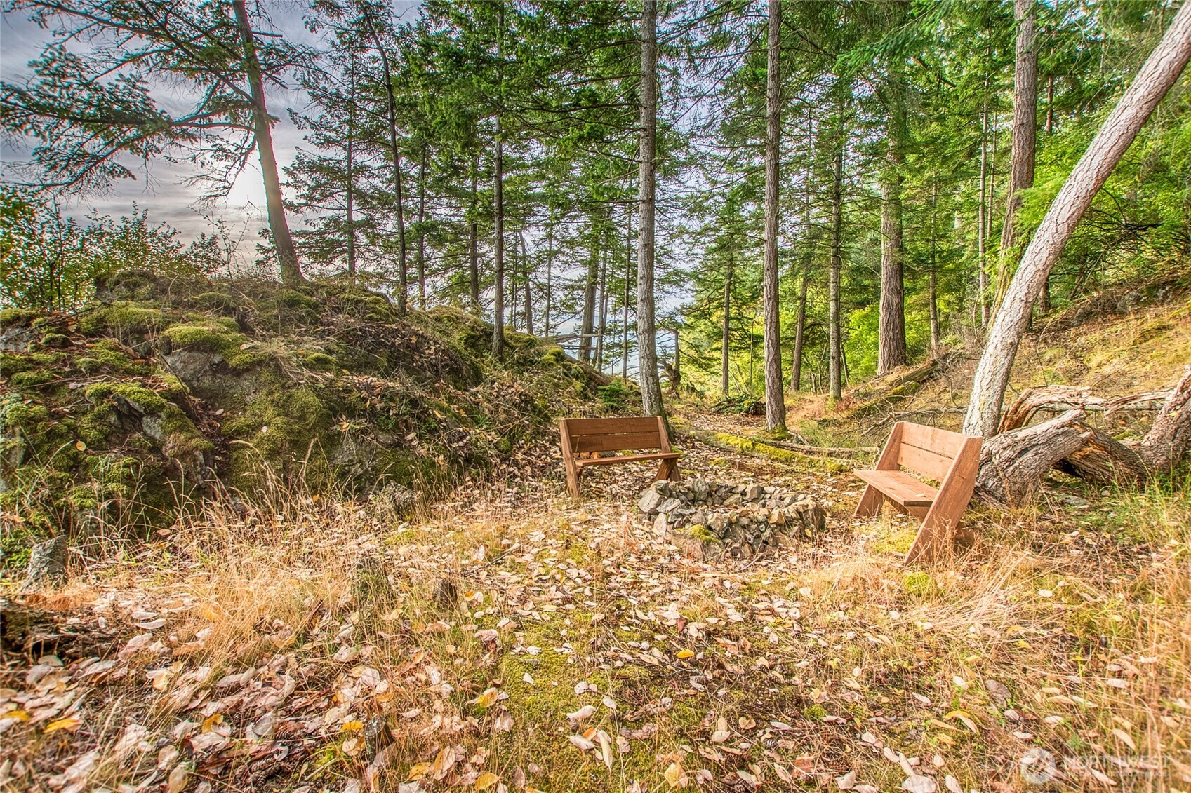 2760 Raccoon Point Road Orcas Island, WA 98245 - Photo 16 of 37 Gallery Image 16