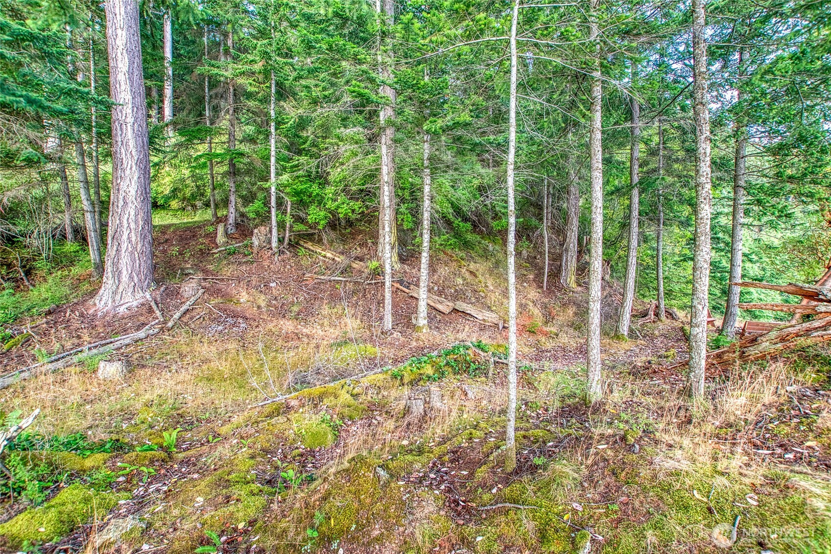 2760 Raccoon Point Road Orcas Island, WA 98245 - Photo 18 of 37 Gallery Image 18