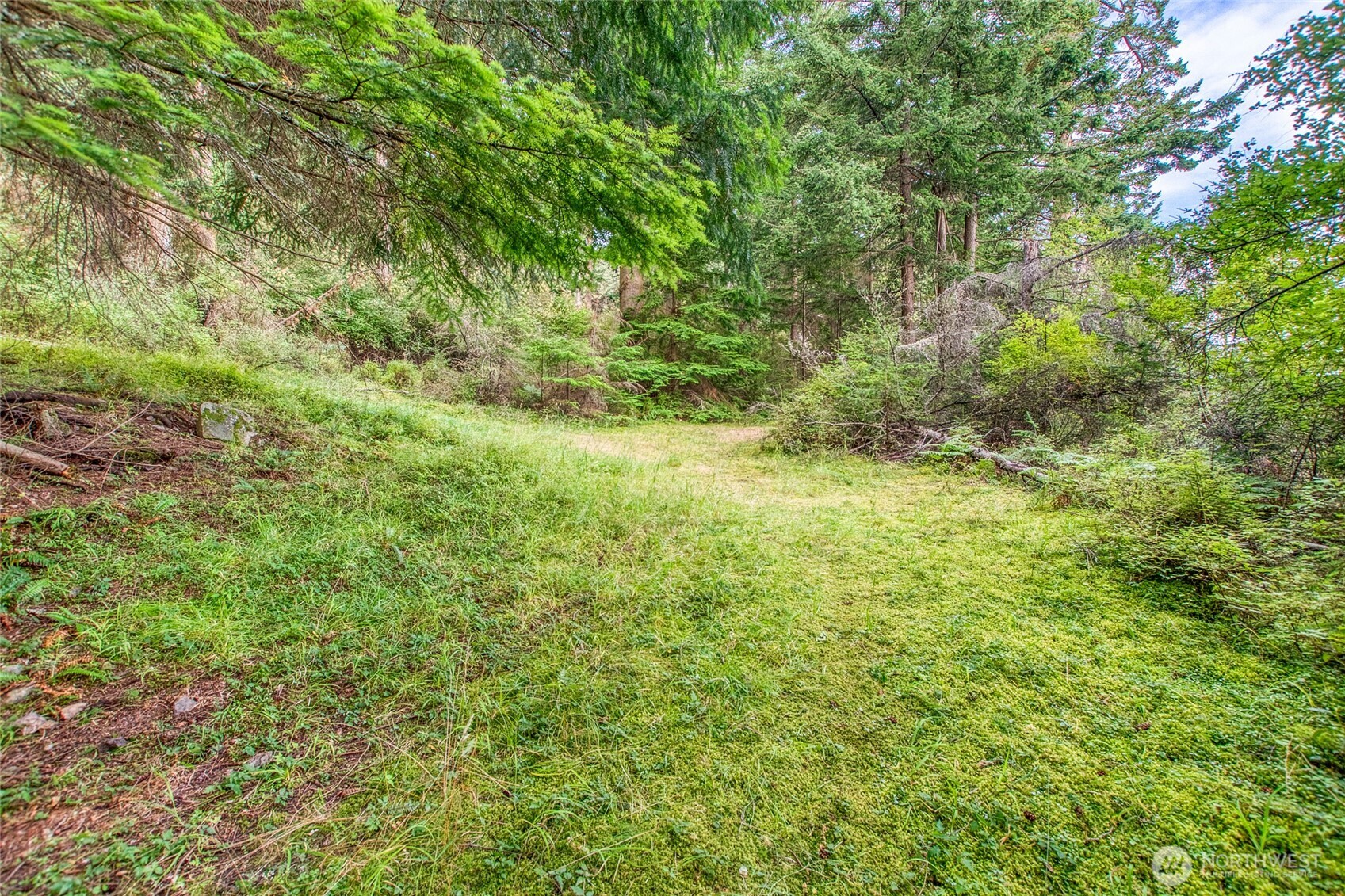 2760 Raccoon Point Road Orcas Island, WA 98245 - Photo 19 of 37 Gallery Image 19