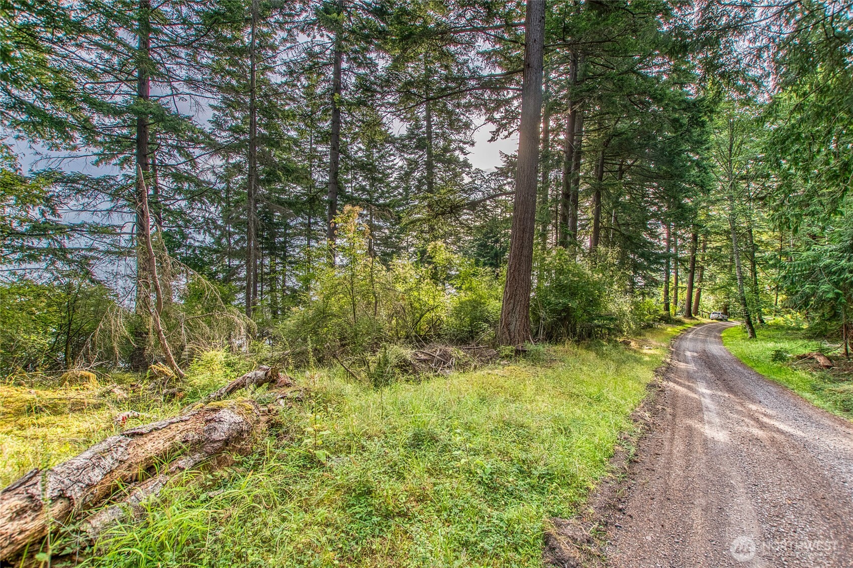2760 Raccoon Point Road Orcas Island, WA 98245 - Photo 23 of 37 Gallery Image 23