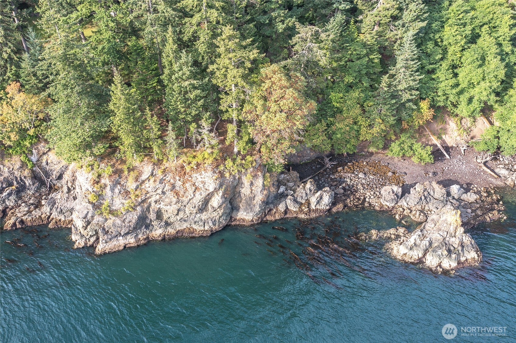 2760 Raccoon Point Road Orcas Island, WA 98245 - Photo 28 of 37 Gallery Image 28