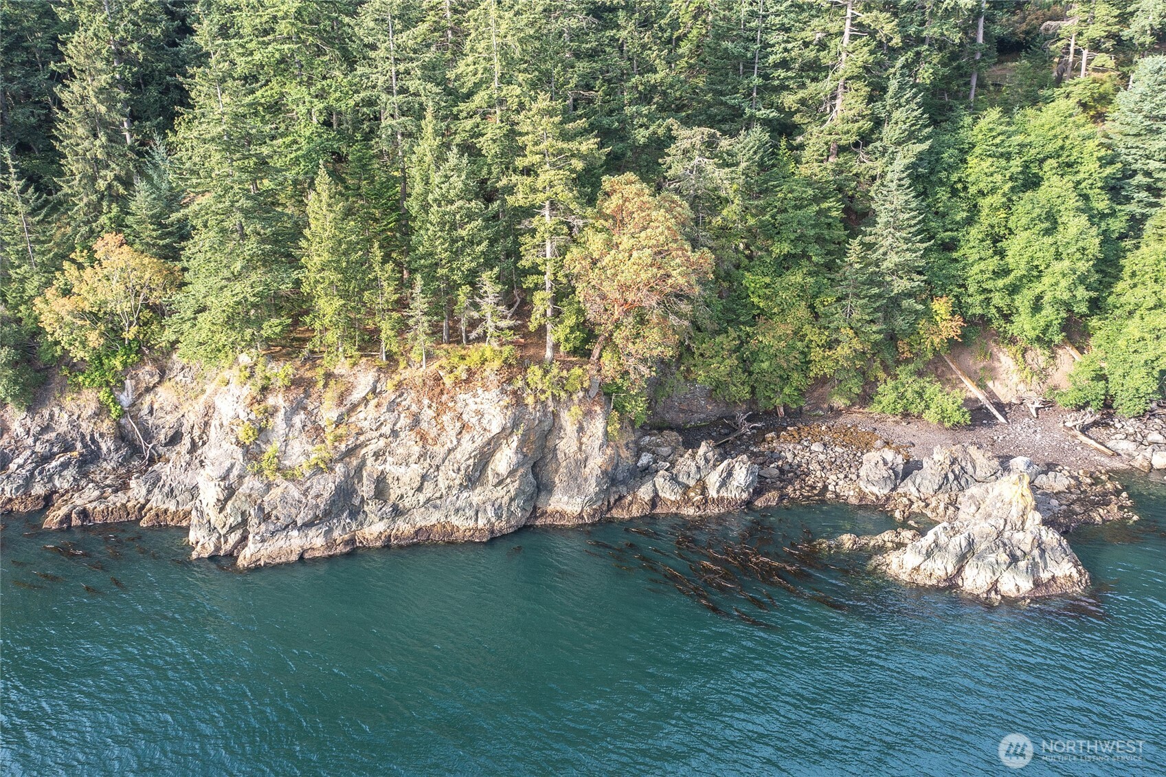 2760 Raccoon Point Road Orcas Island, WA 98245 - Photo 29 of 37 Gallery Image 29