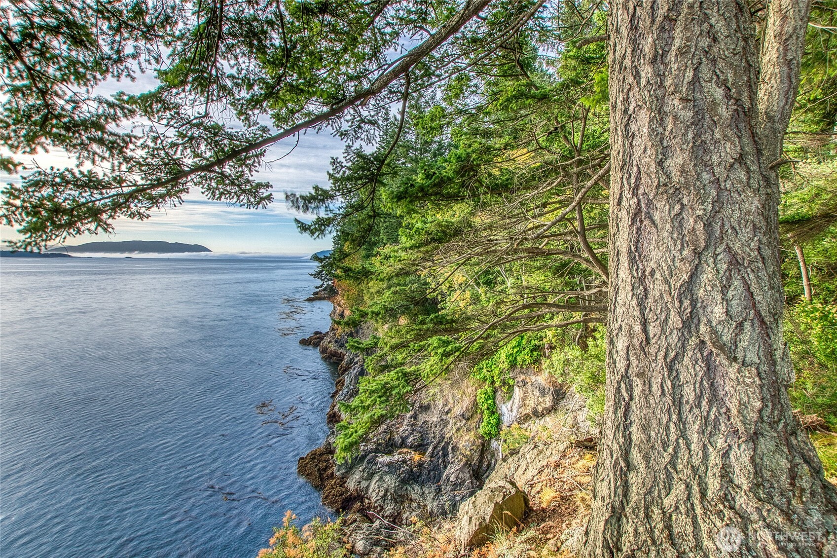 2760 Raccoon Point Road Orcas Island, WA 98245 - Photo 3 of 37 Gallery Image 3